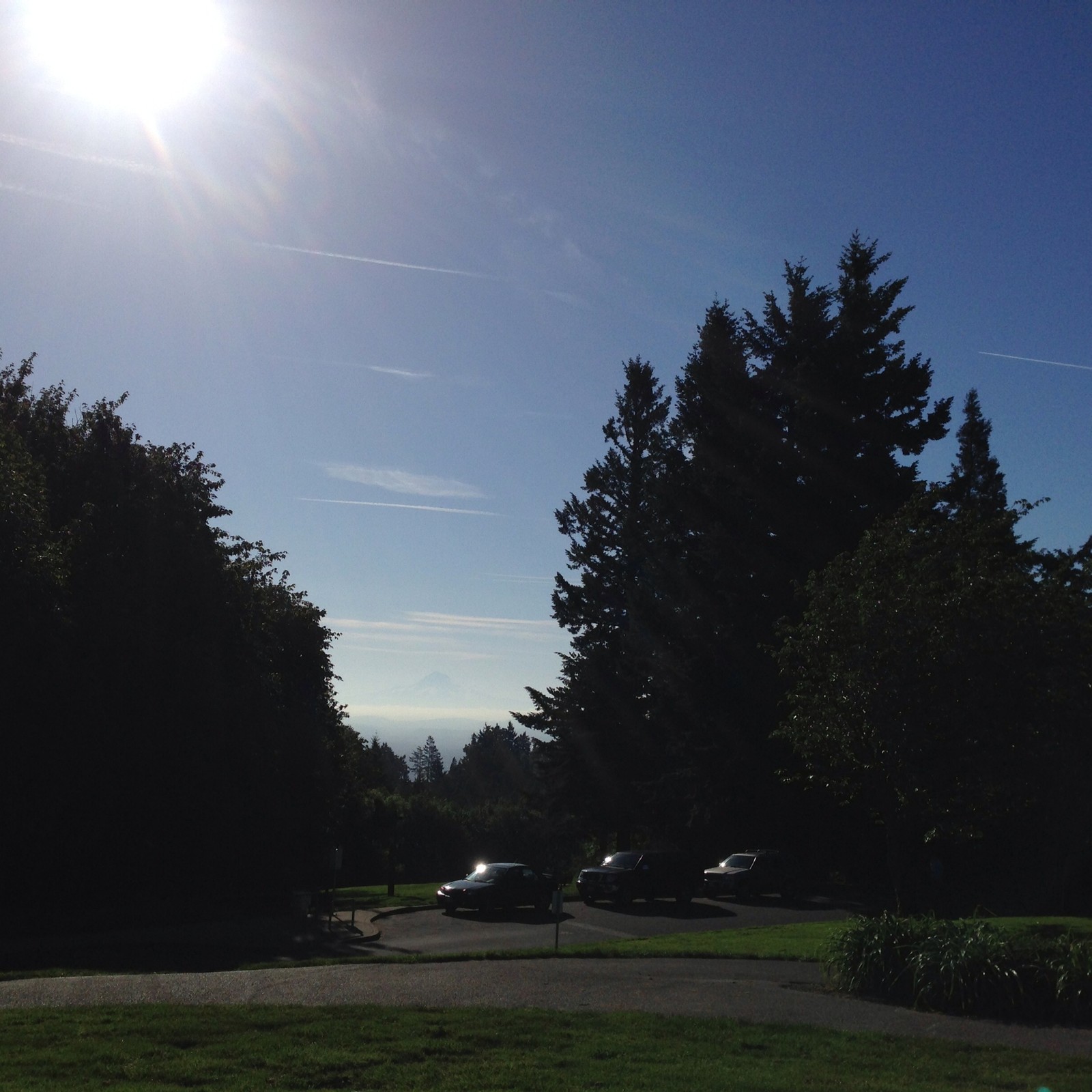 View from Council Crest toward Mt. Hood, which is visible
