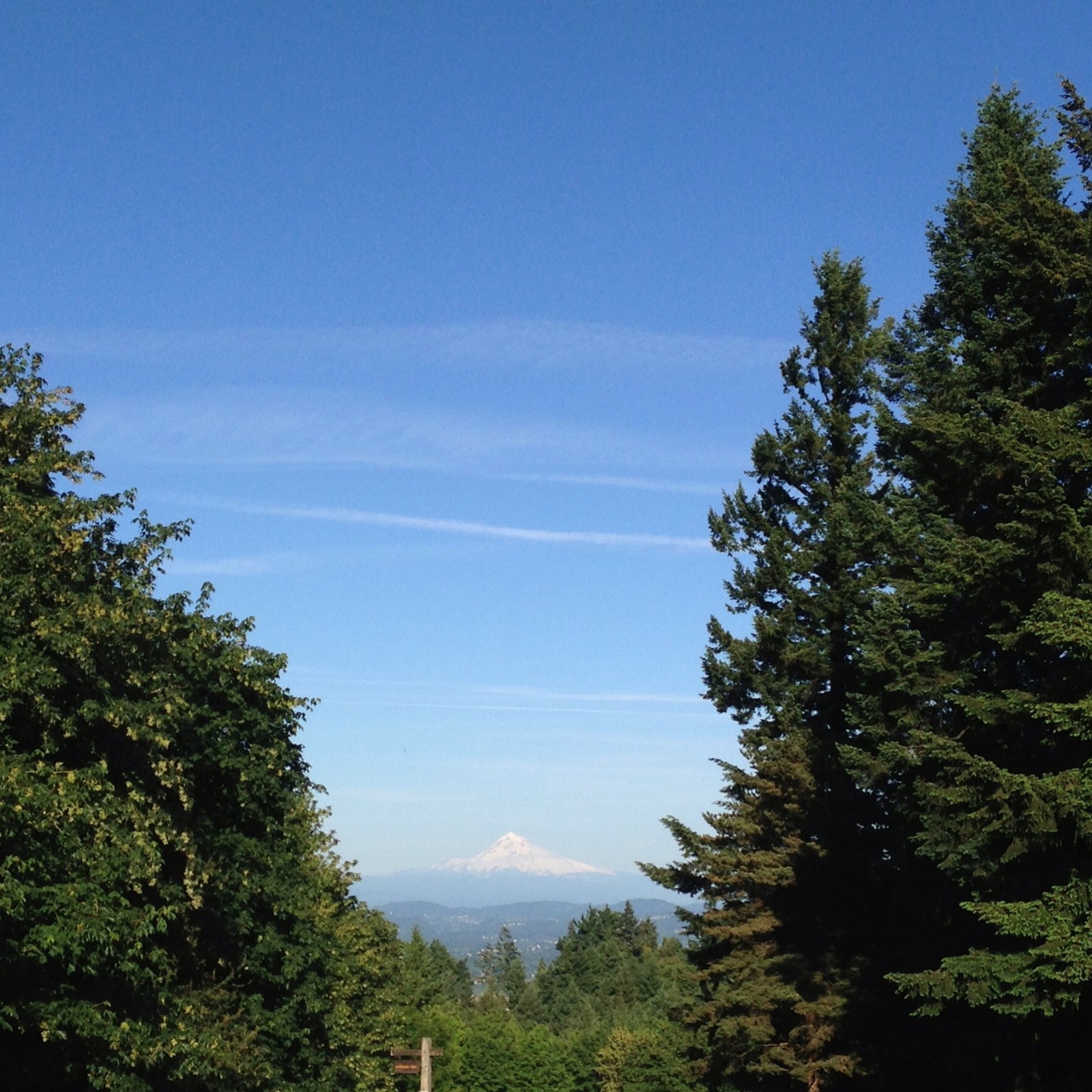 View from Council Crest toward Mt. Hood, which is visible