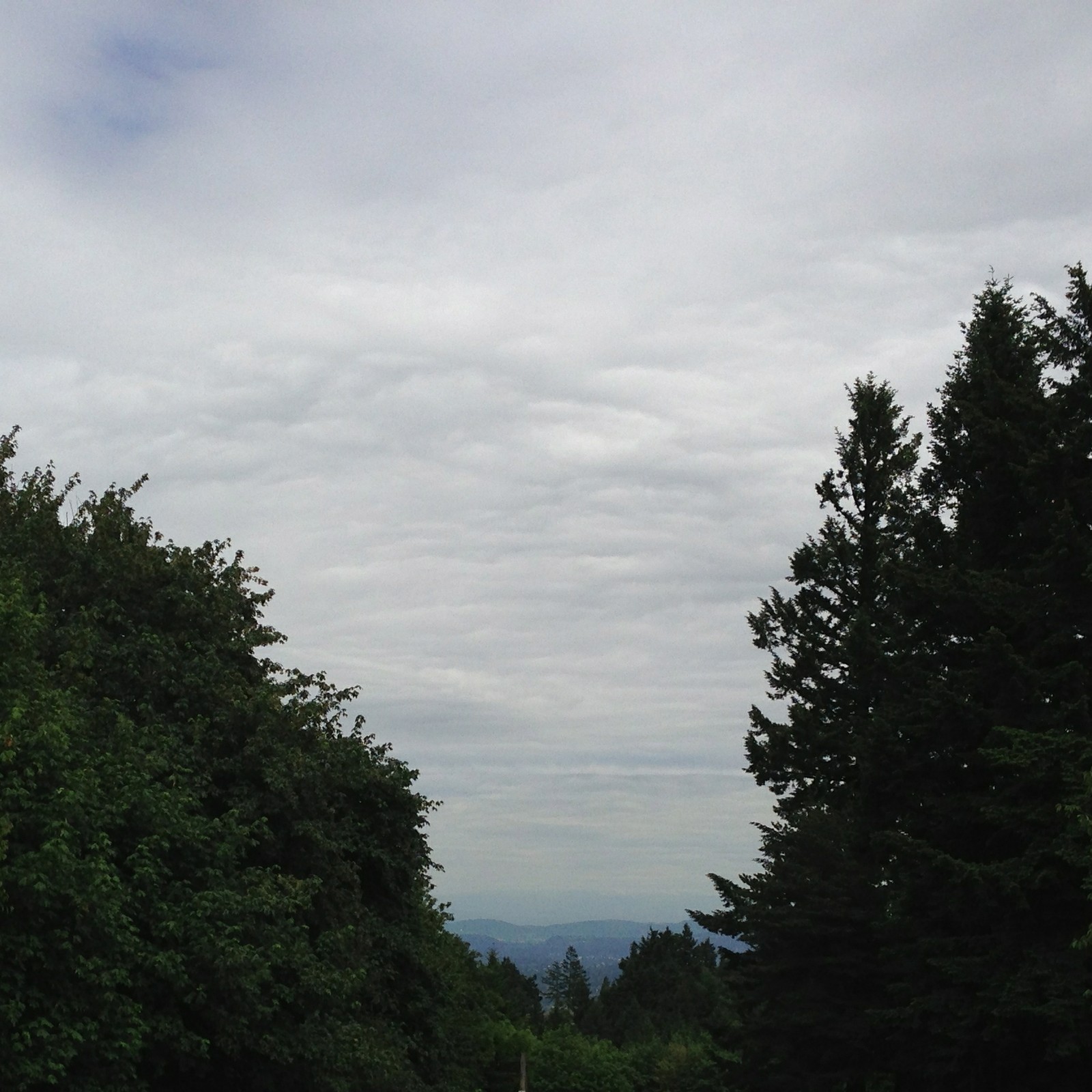 View from Council Crest toward Mt. Hood, which is NOT visible