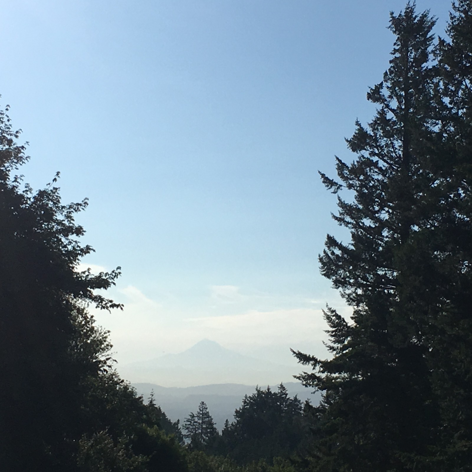 View from Council Crest toward Mt. Hood, which is visible