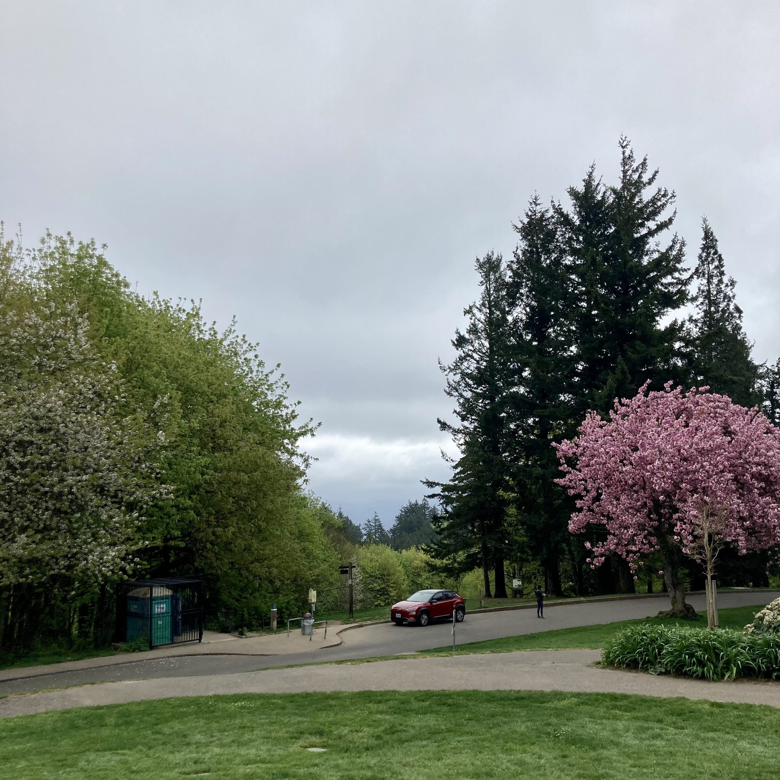 View from Council Crest toward Mt. Hood, which is NOT visible