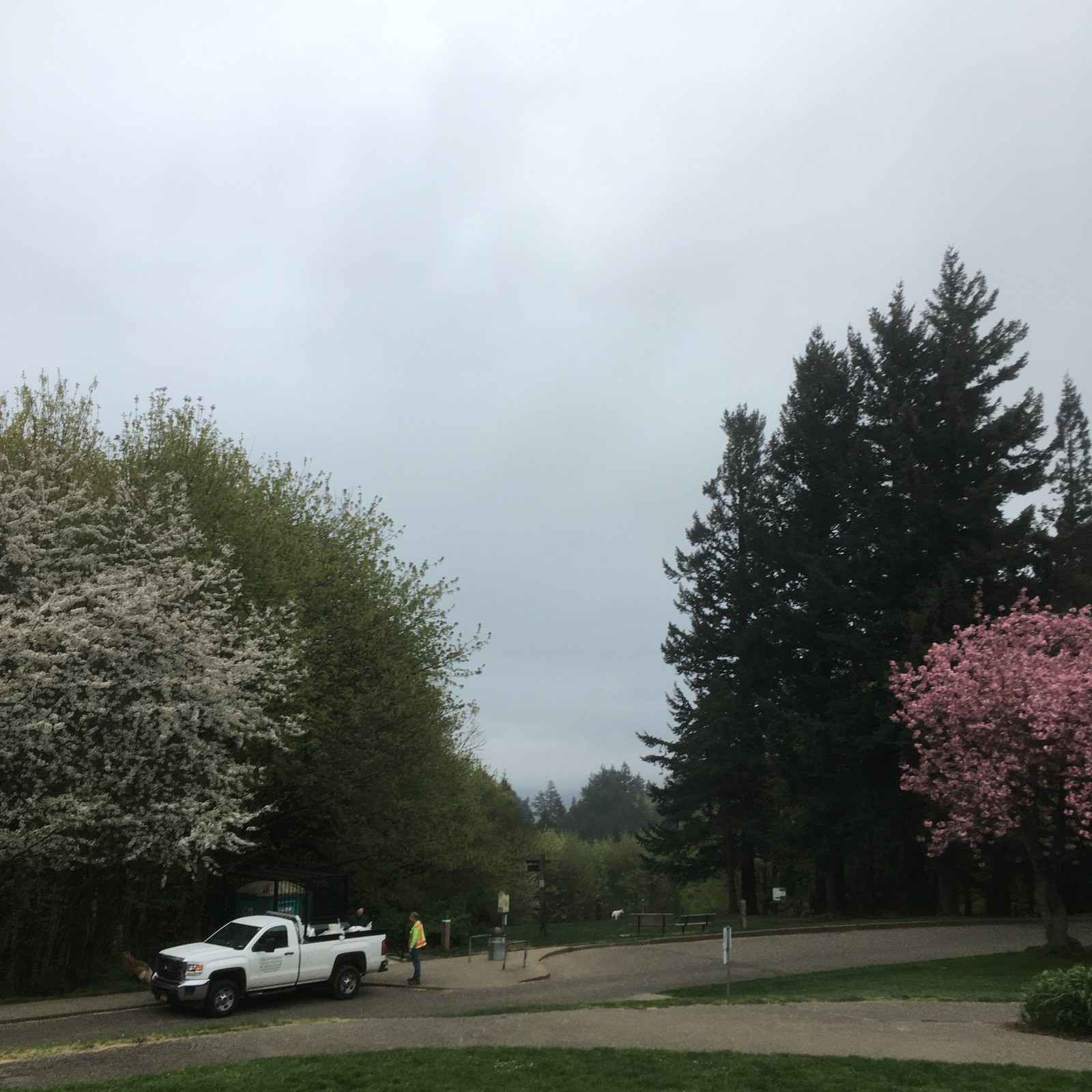 View from Council Crest toward Mt. Hood, which is NOT visible