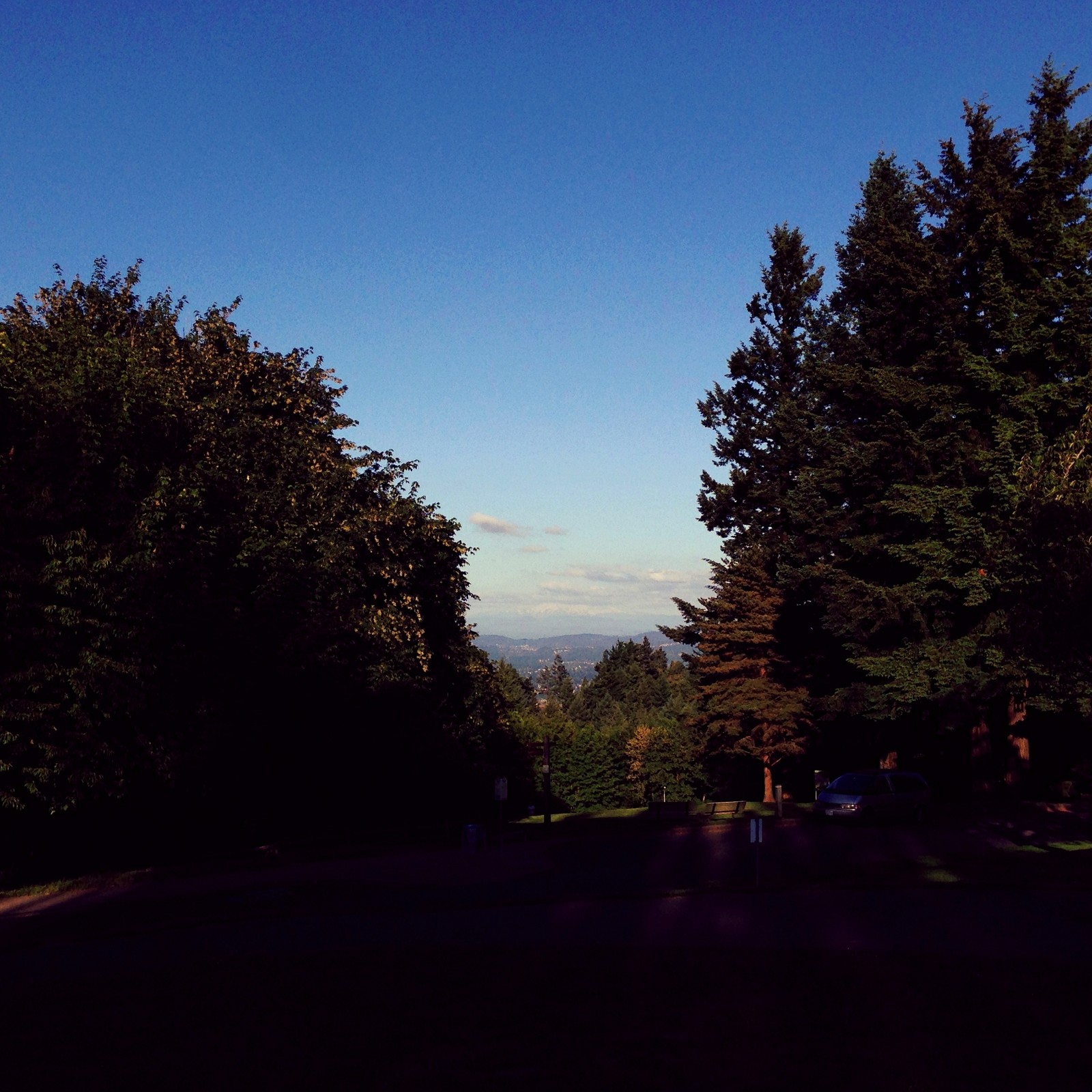 View from Council Crest toward Mt. Hood, which is visible