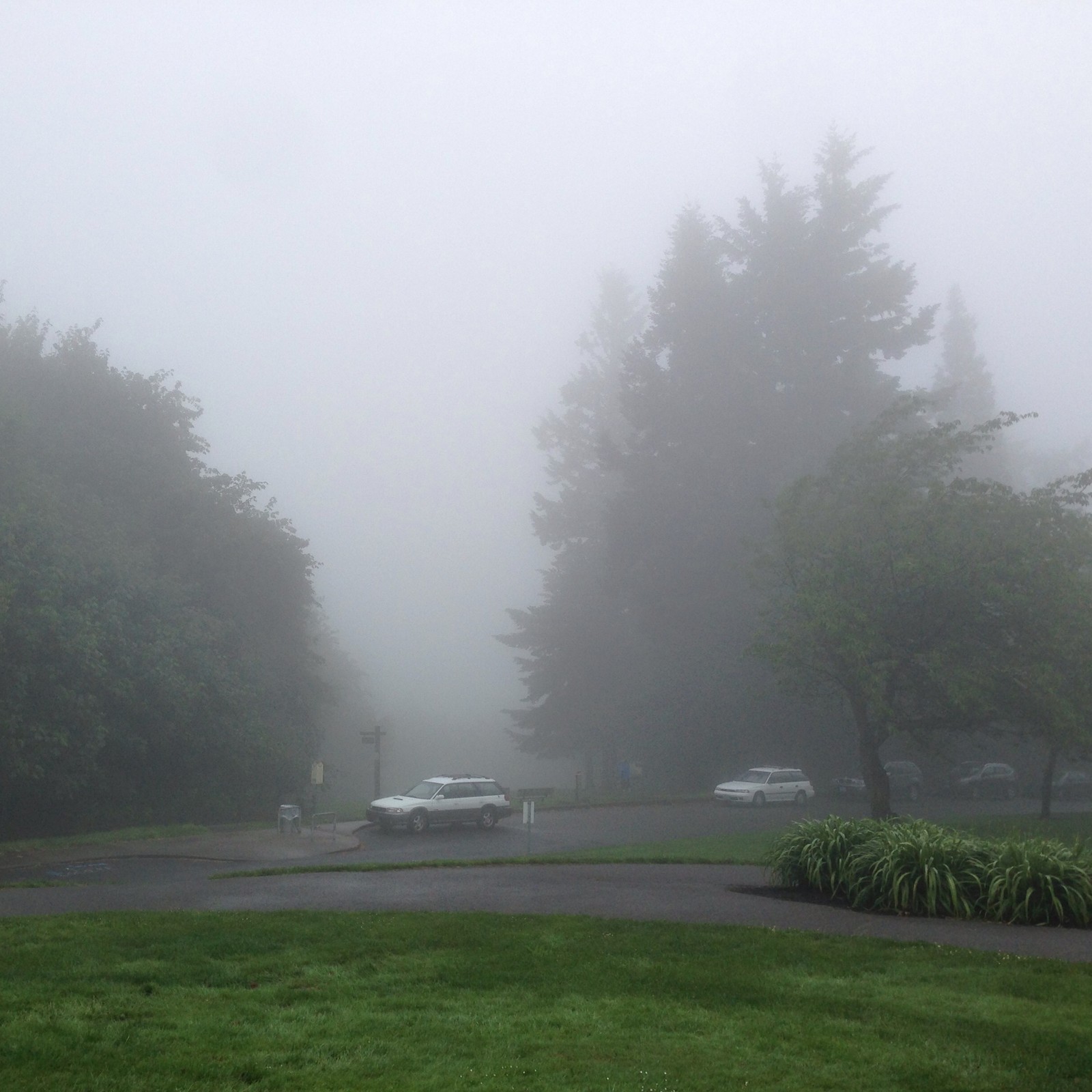 View from Council Crest toward Mt. Hood, which is NOT visible