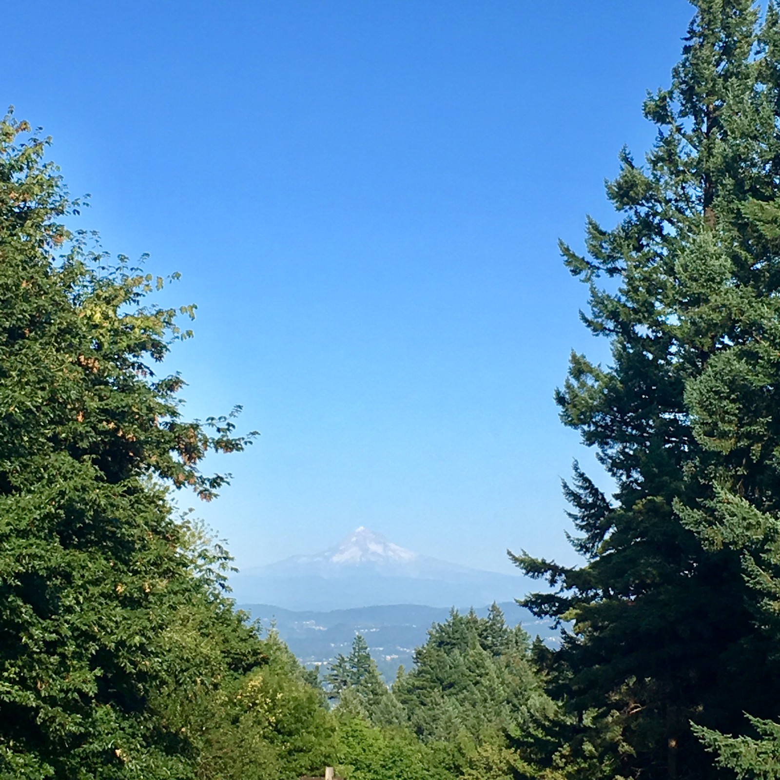 View from Council Crest toward Mt. Hood, which is visible