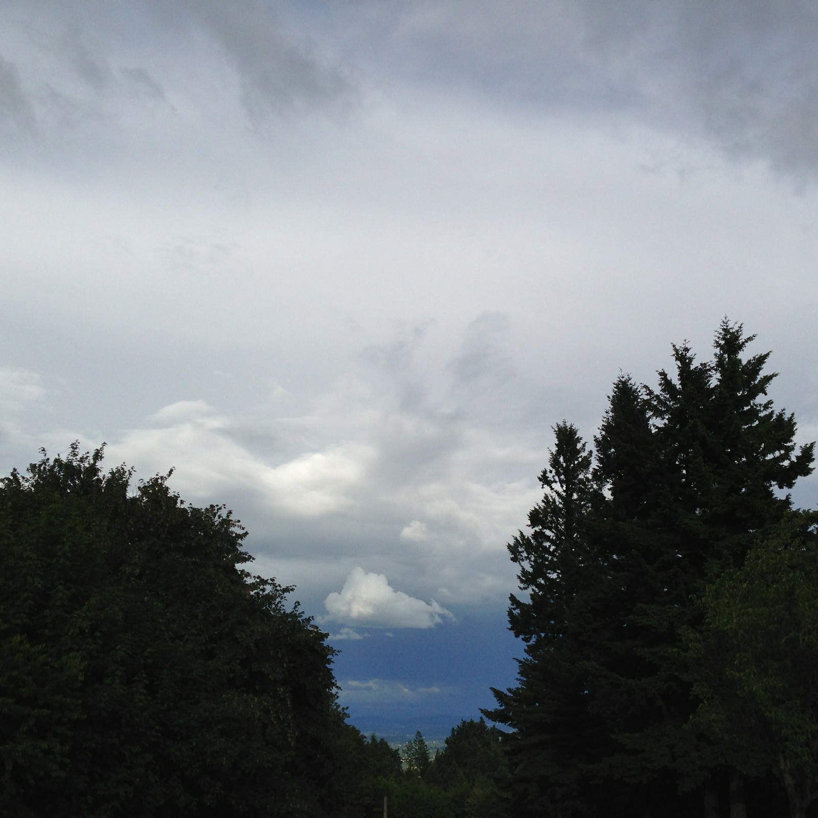 View from Council Crest toward Mt. Hood, which is NOT visible