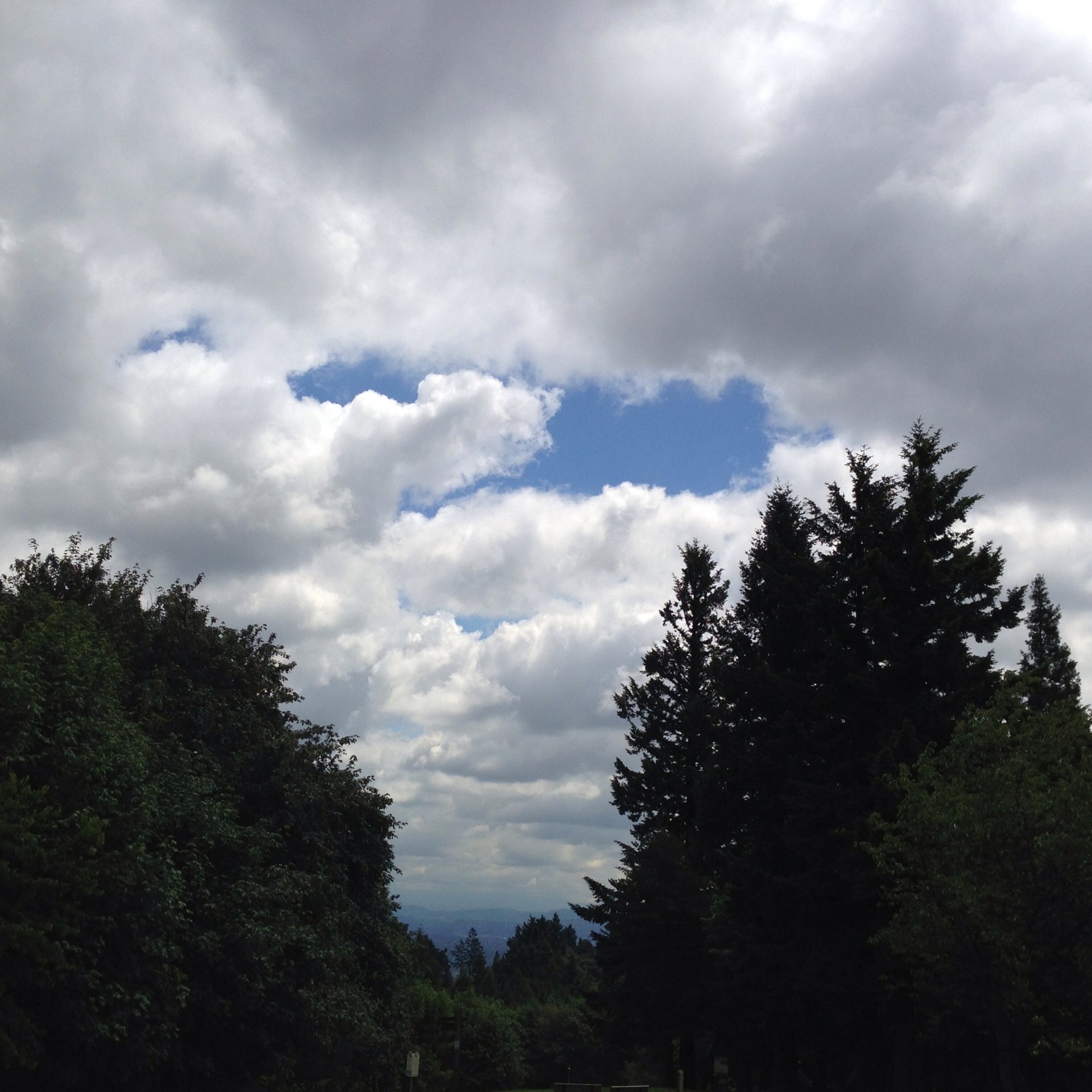 View from Council Crest toward Mt. Hood, which is NOT visible