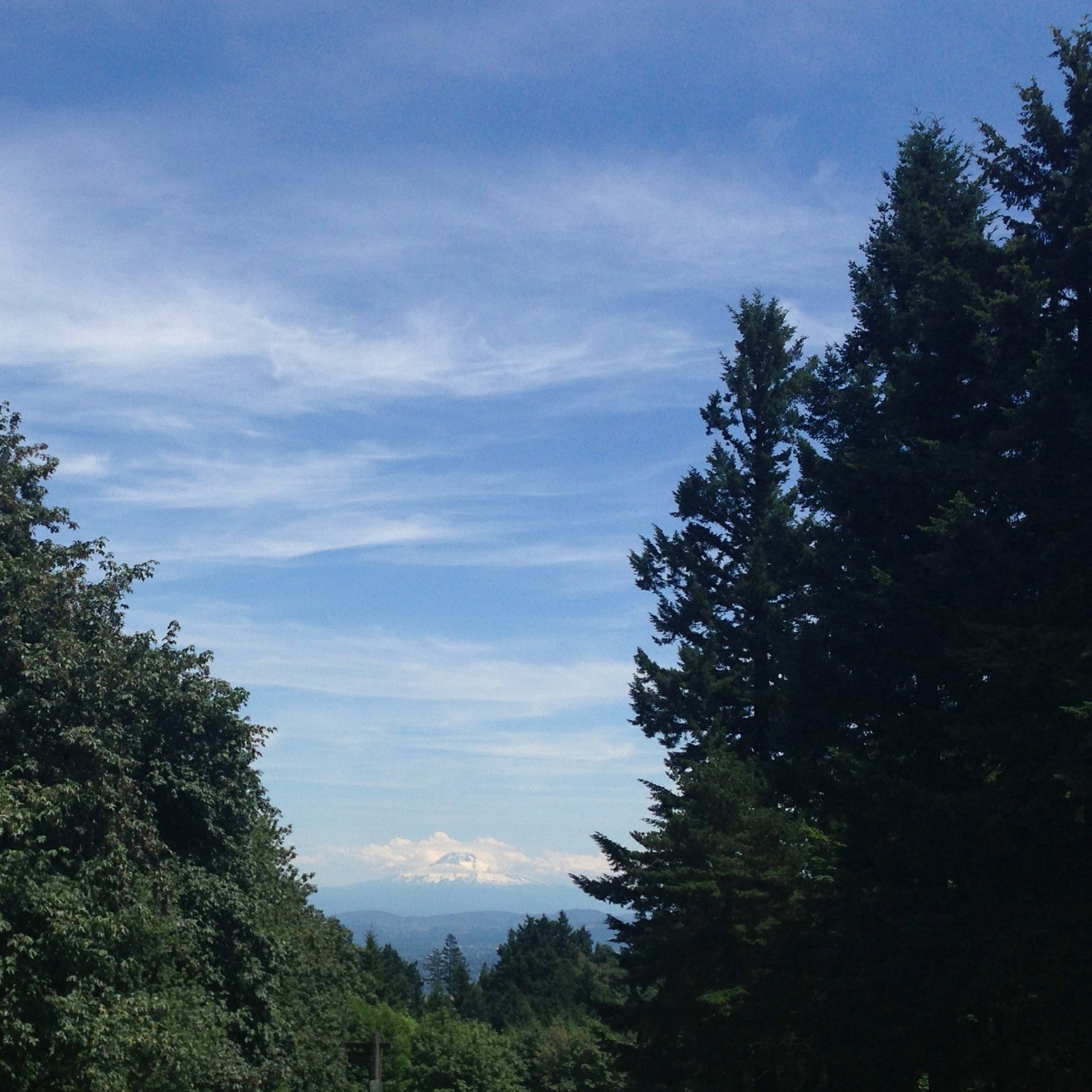 View from Council Crest toward Mt. Hood, which is visible