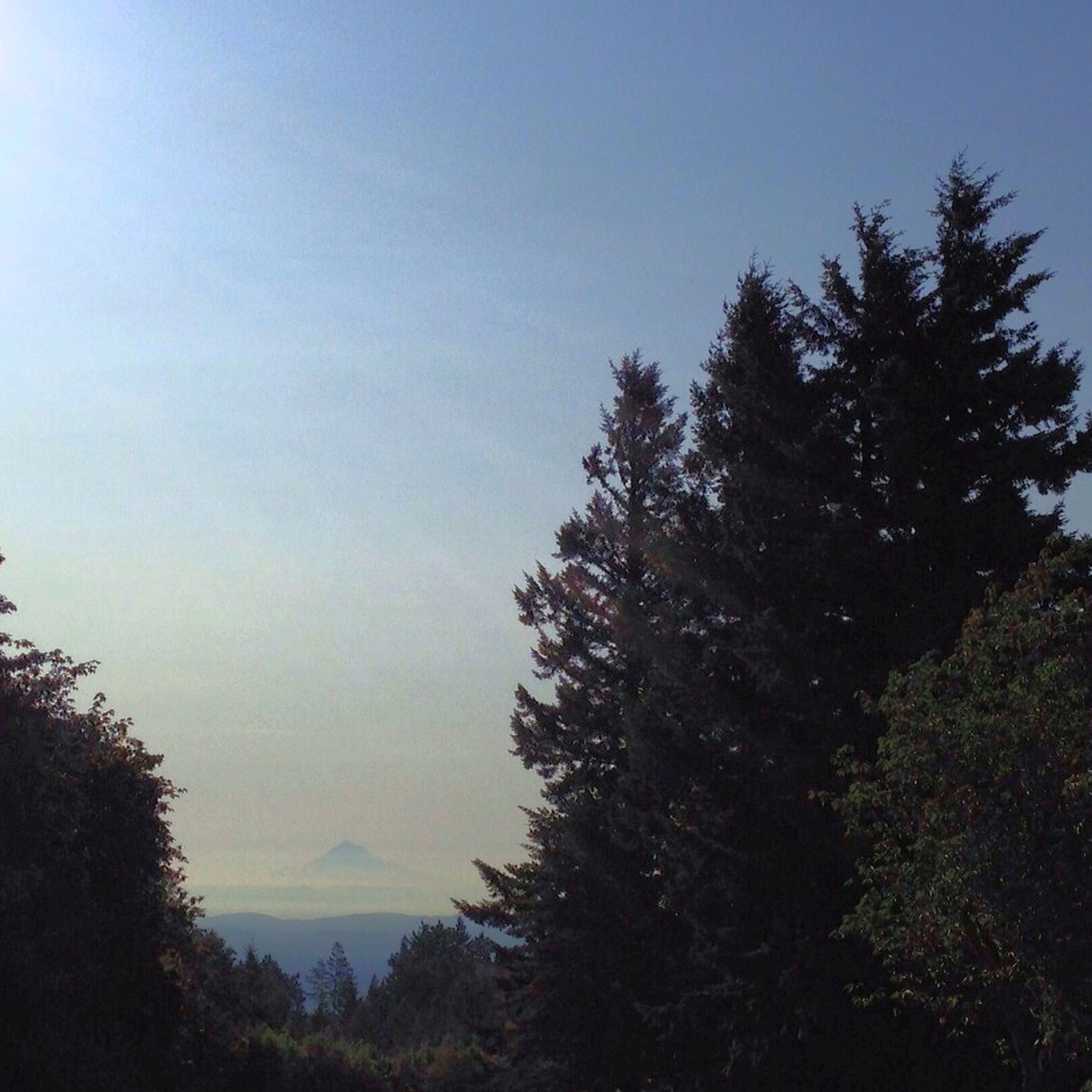 View from Council Crest toward Mt. Hood, which is visible