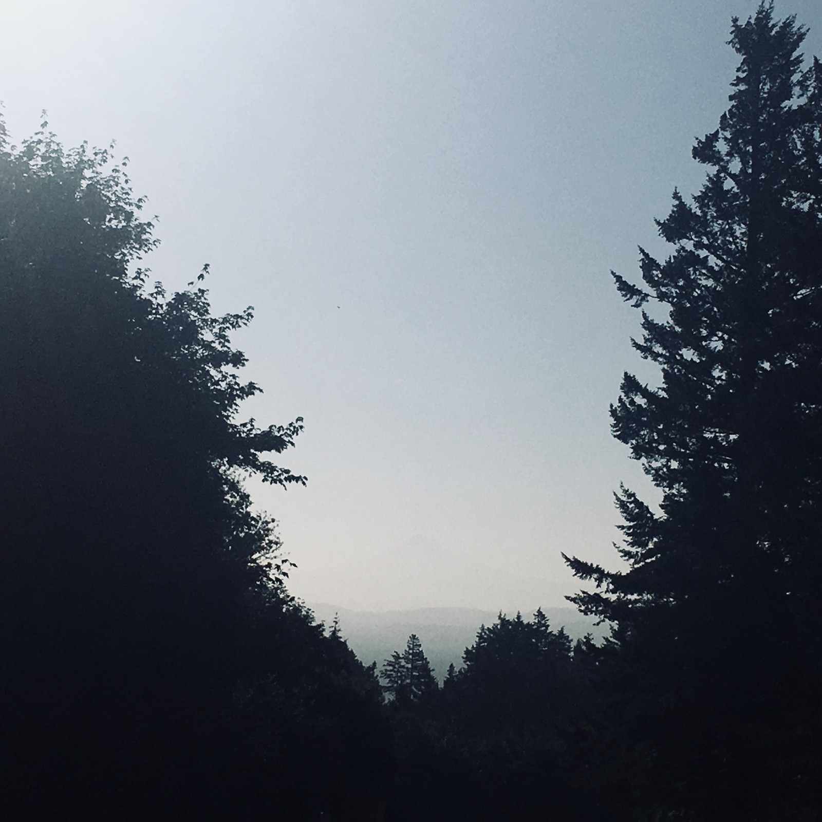 View from Council Crest toward Mt. Hood, which is visible