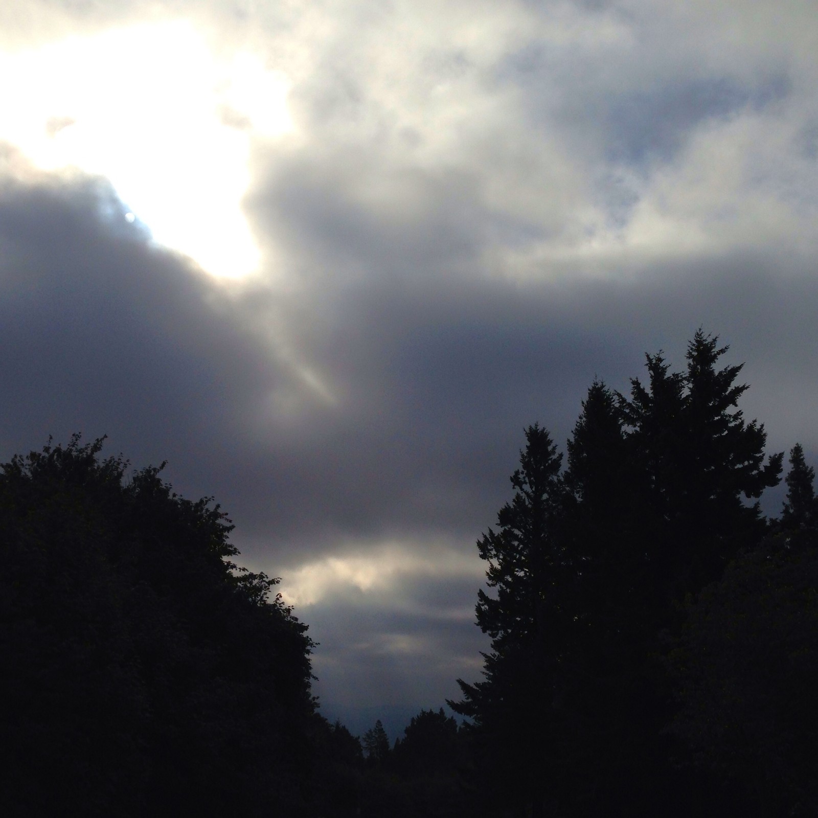 View from Council Crest toward Mt. Hood, which is NOT visible