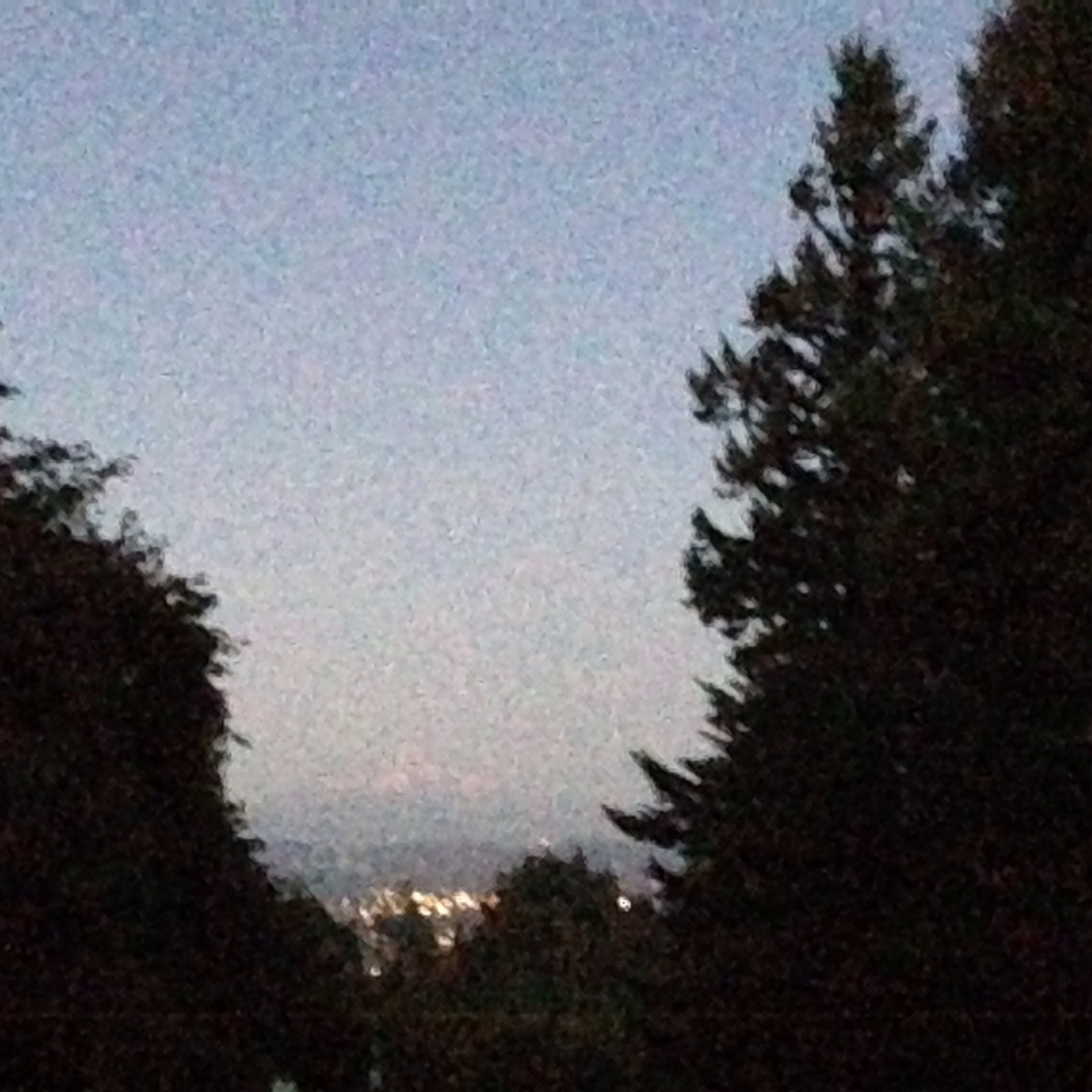 View from Council Crest toward Mt. Hood, which is visible