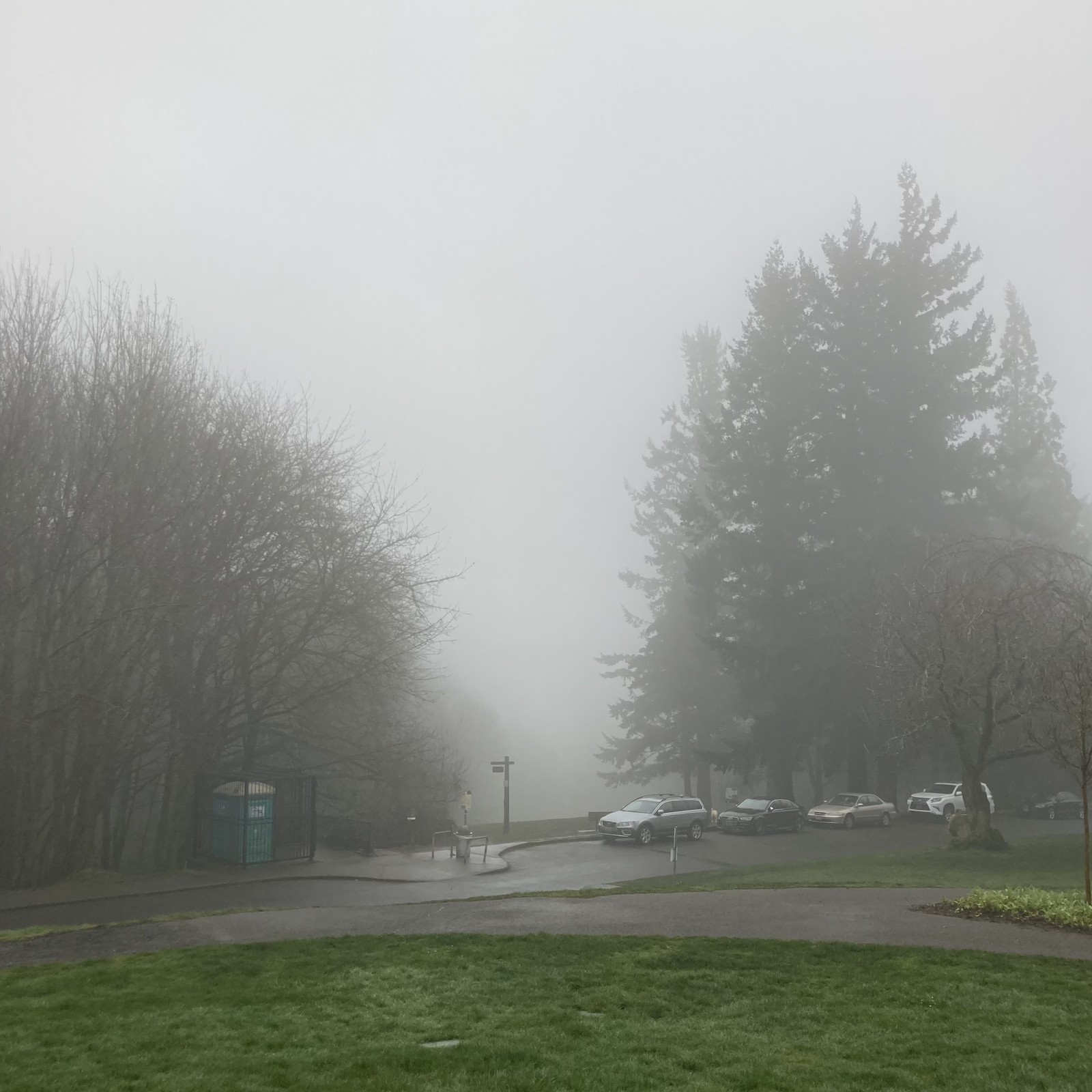 View from Council Crest toward Mt. Hood, which is NOT visible