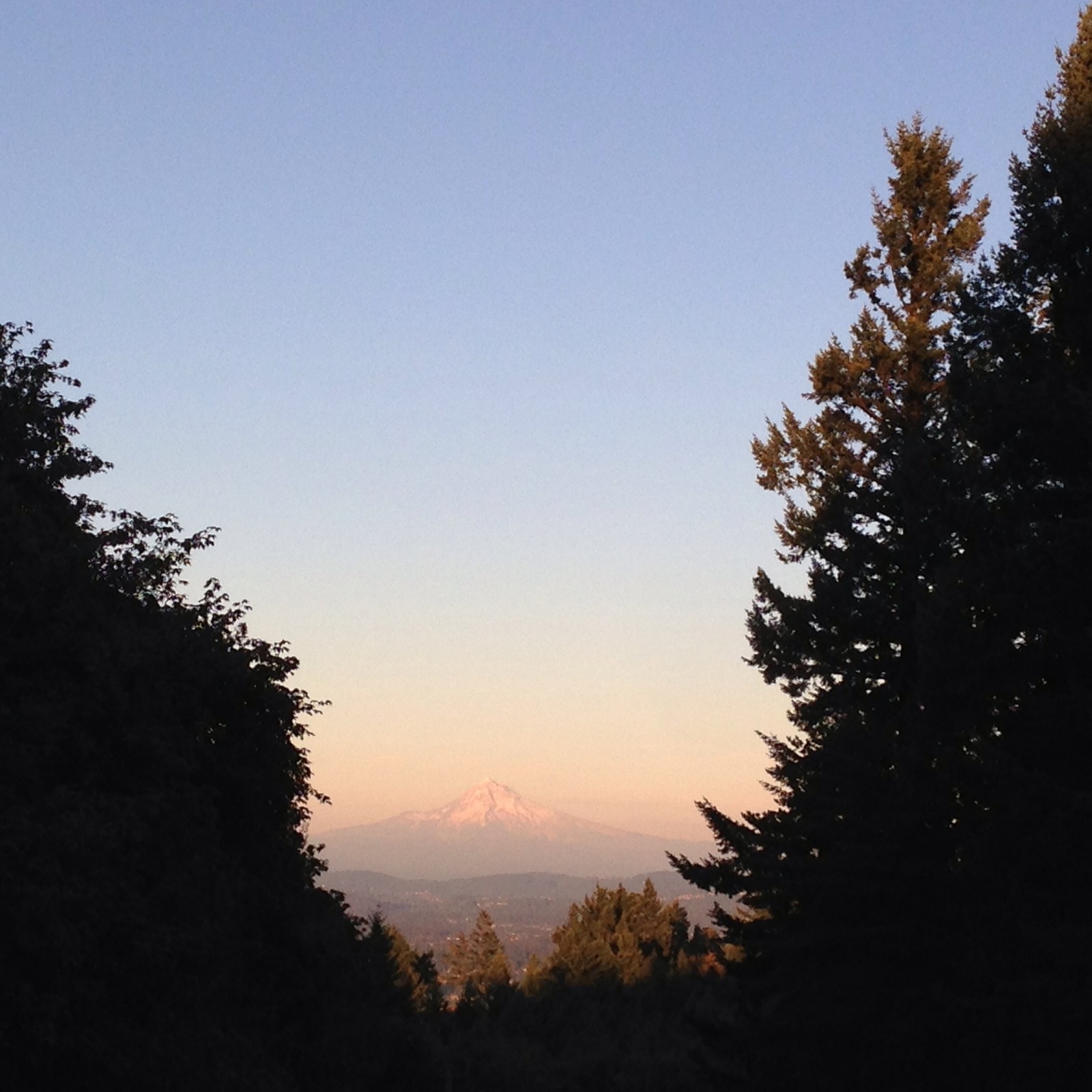 View from Council Crest toward Mt. Hood, which is visible