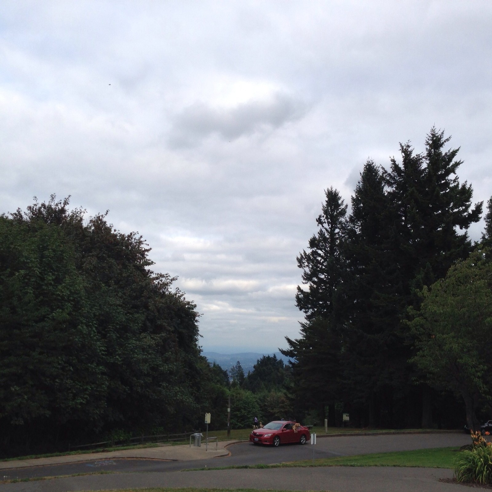 View from Council Crest toward Mt. Hood, which is NOT visible