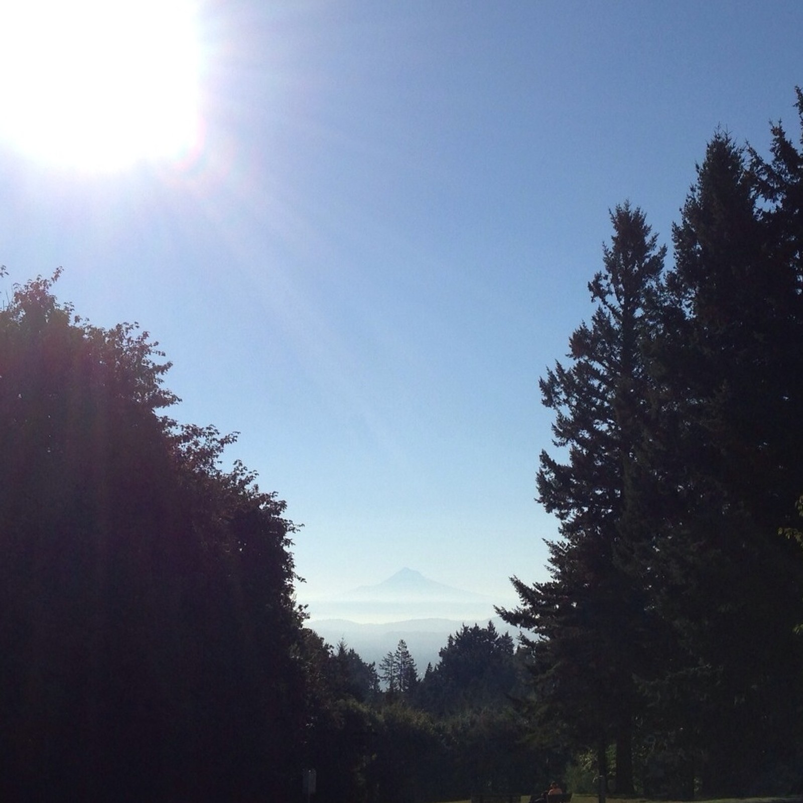 View from Council Crest toward Mt. Hood, which is visible