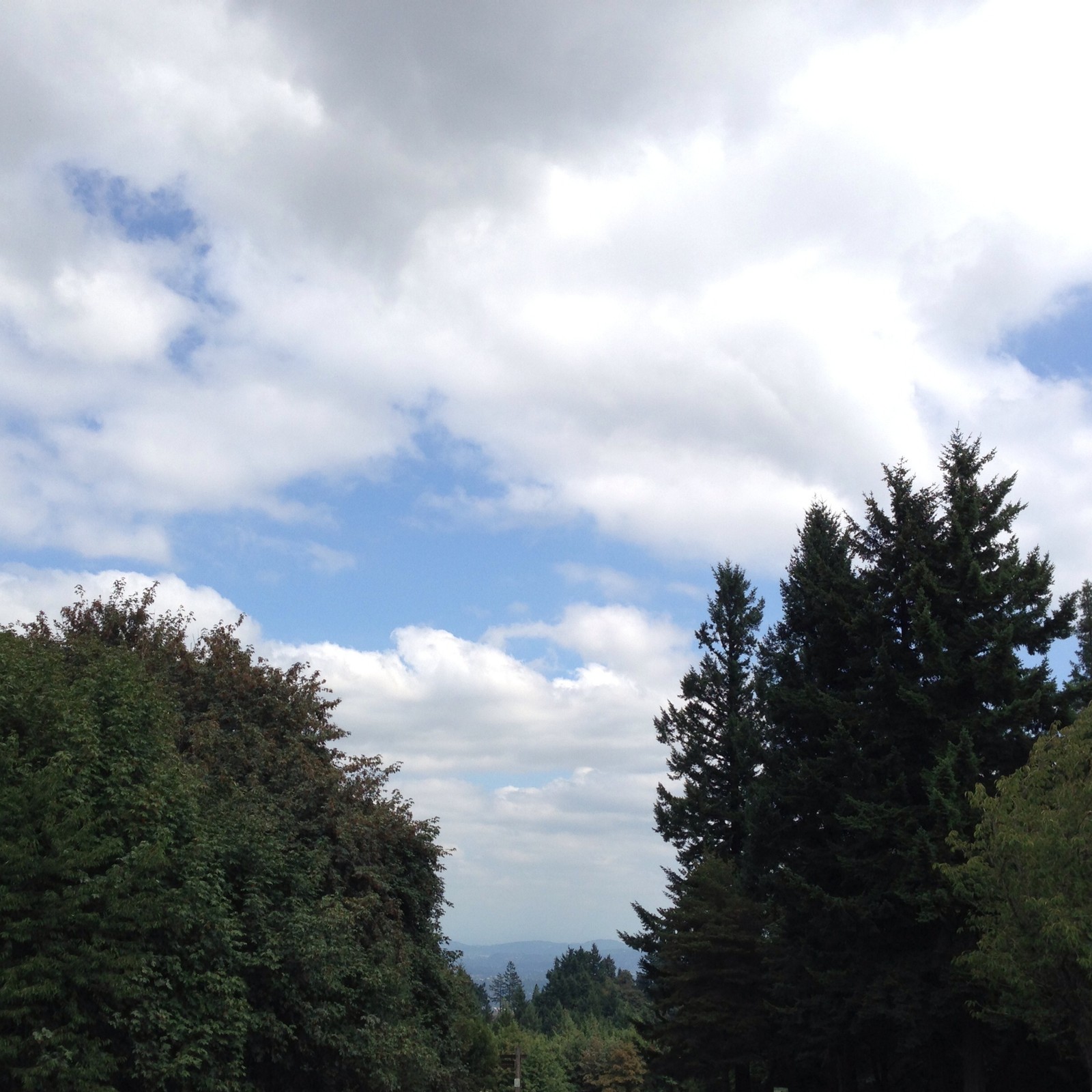 View from Council Crest toward Mt. Hood, which is NOT visible