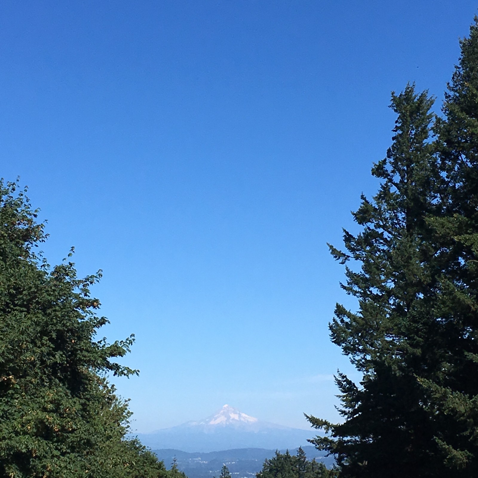 View from Council Crest toward Mt. Hood, which is visible