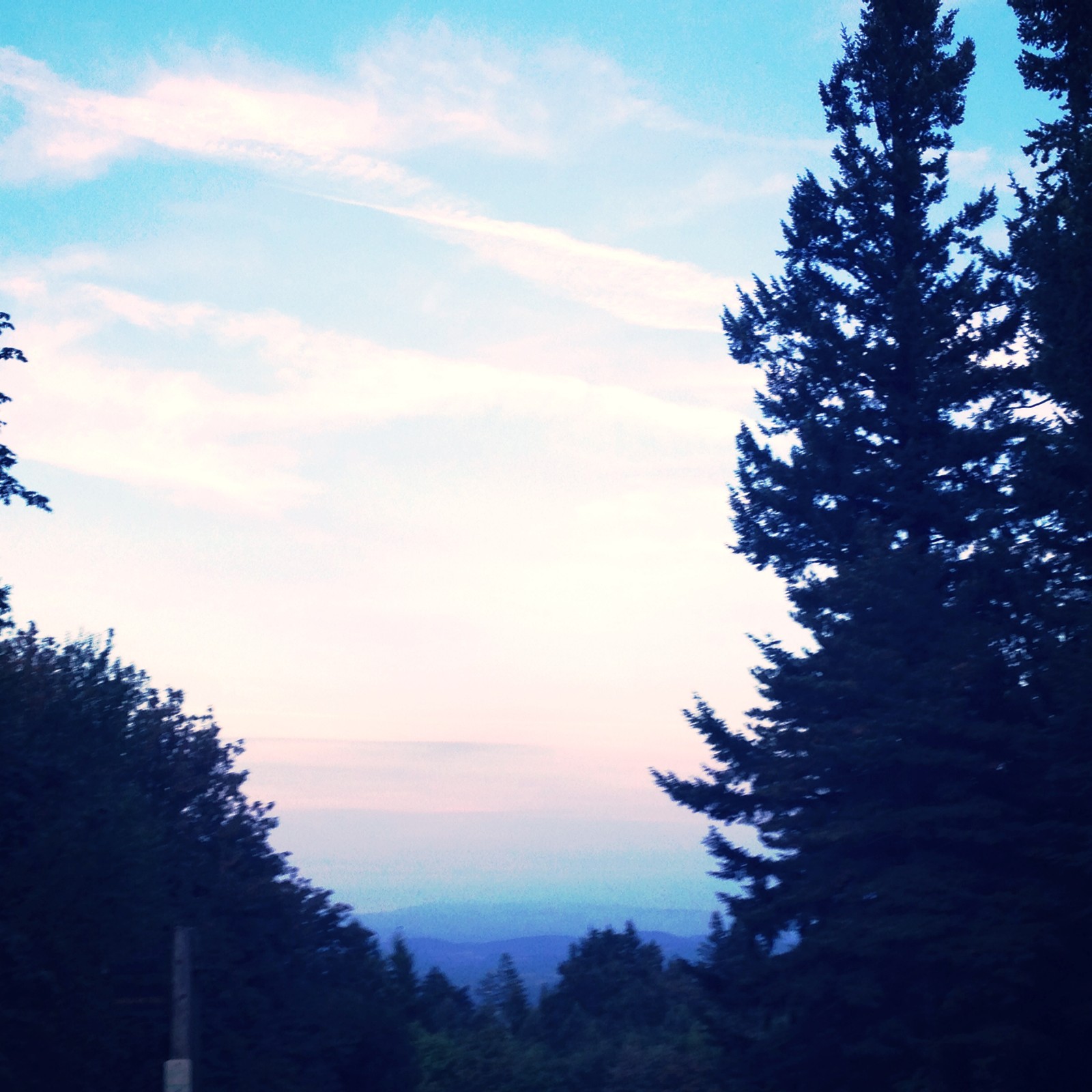 View from Council Crest toward Mt. Hood, which is NOT visible
