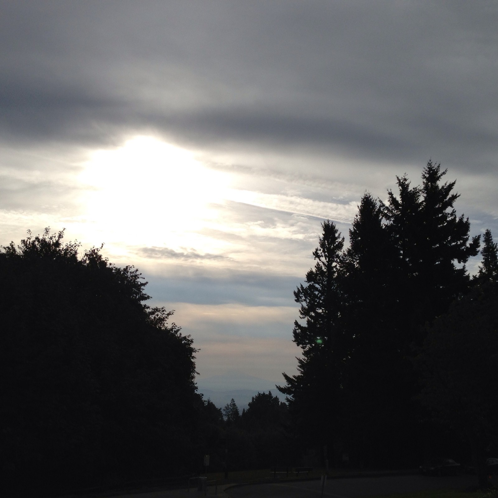 View from Council Crest toward Mt. Hood, which is visible
