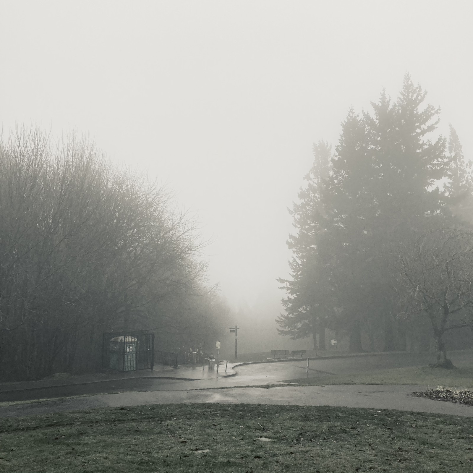 View from Council Crest toward Mt. Hood, which is NOT visible