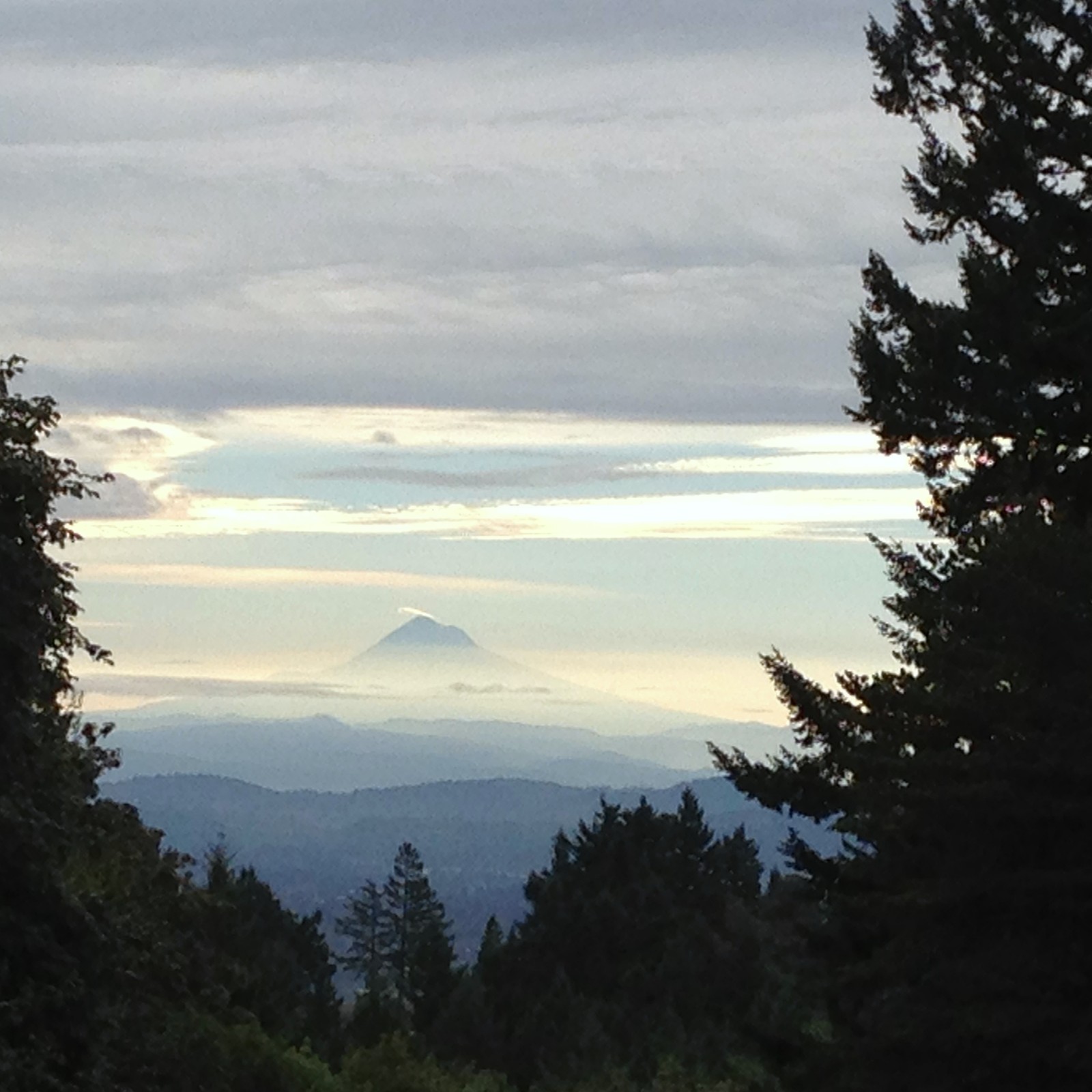 View from Council Crest toward Mt. Hood, which is visible