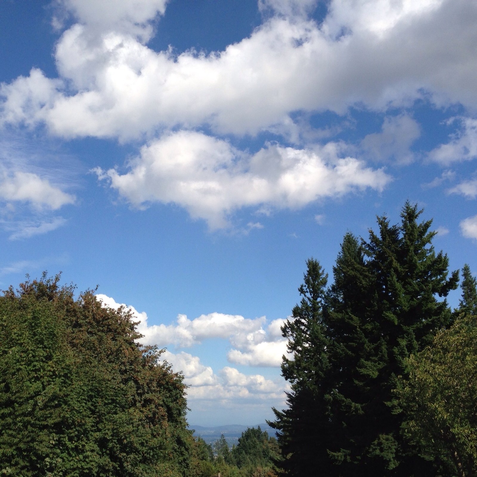 View from Council Crest toward Mt. Hood, which is NOT visible
