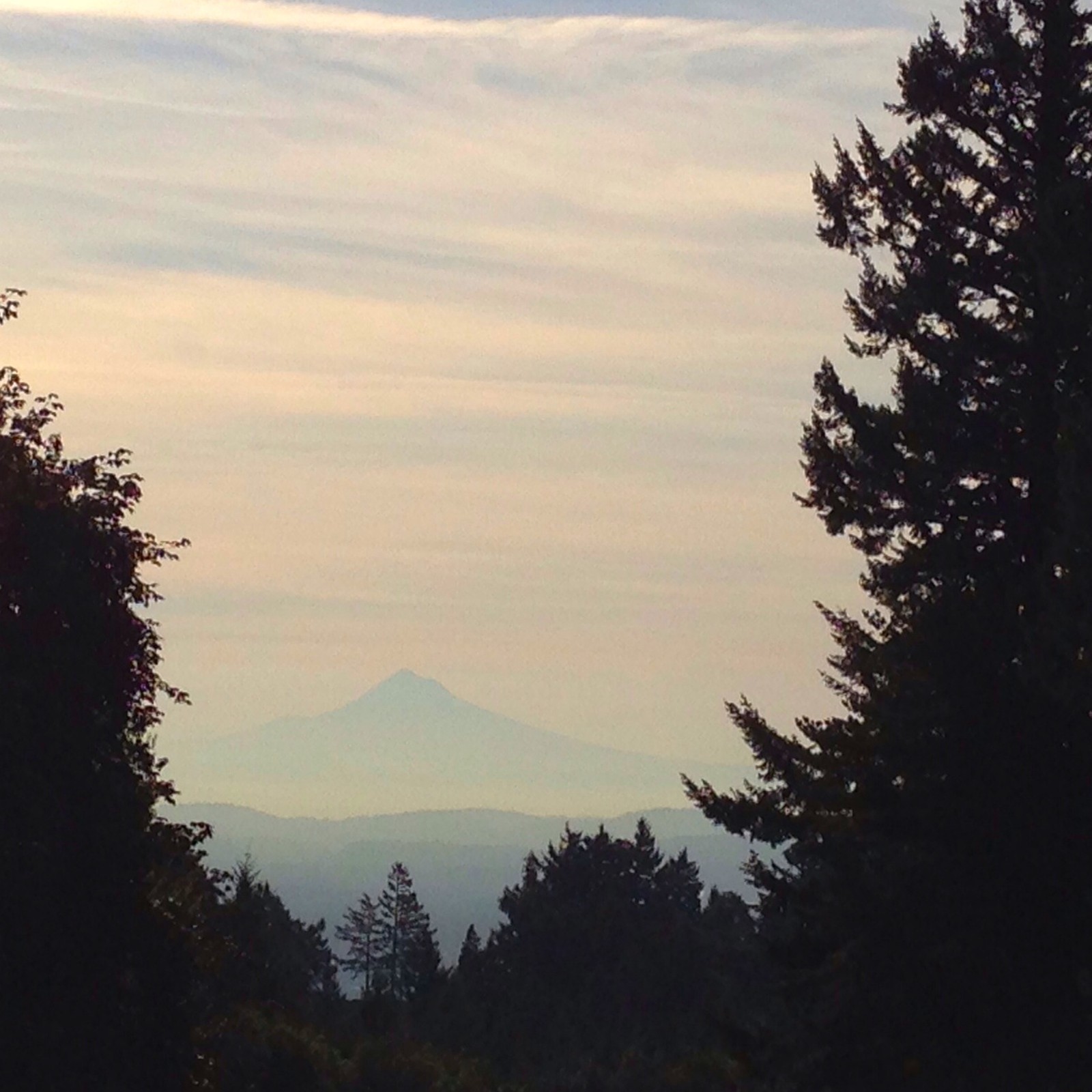 View from Council Crest toward Mt. Hood, which is visible