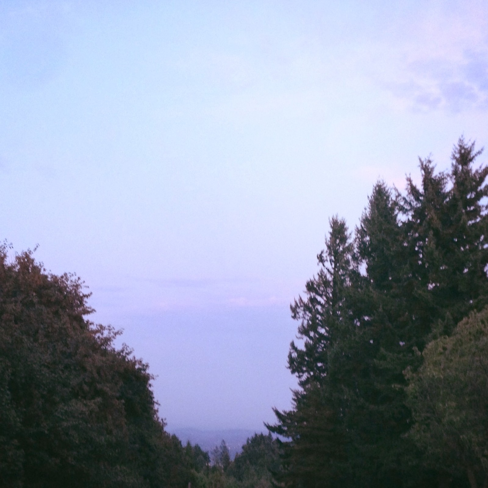 View from Council Crest toward Mt. Hood, which is NOT visible
