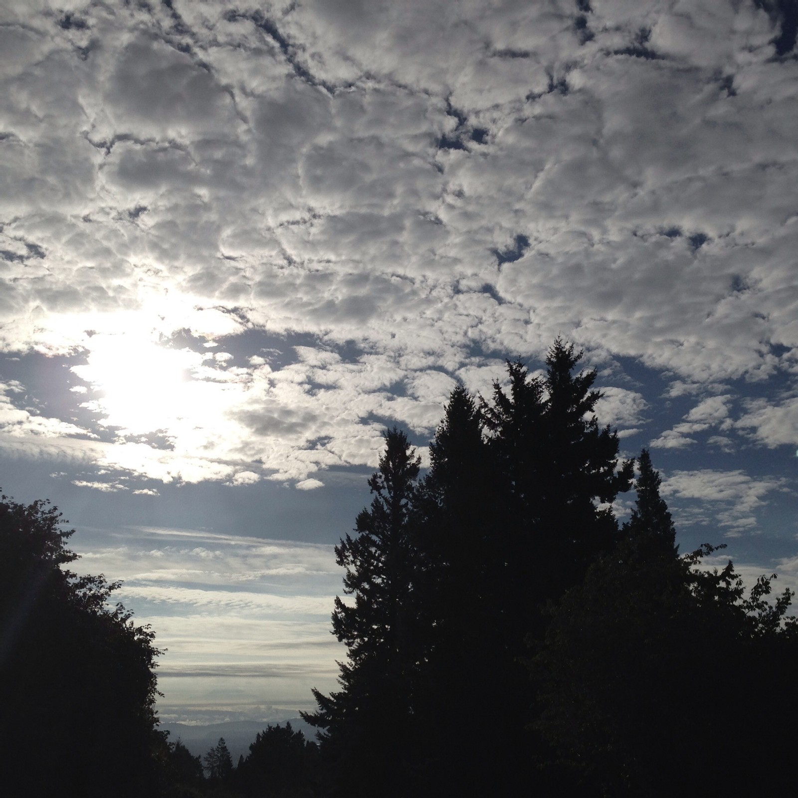 View from Council Crest toward Mt. Hood, which is NOT visible
