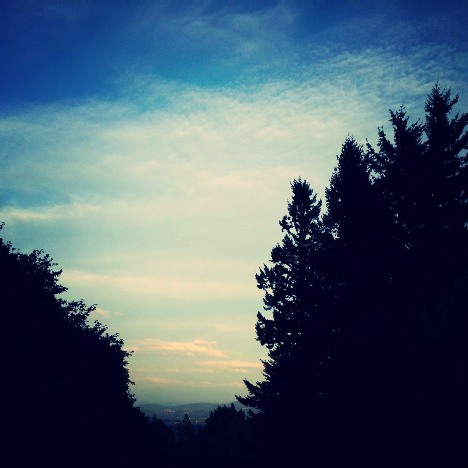 View from Council Crest toward Mt. Hood, which is NOT visible