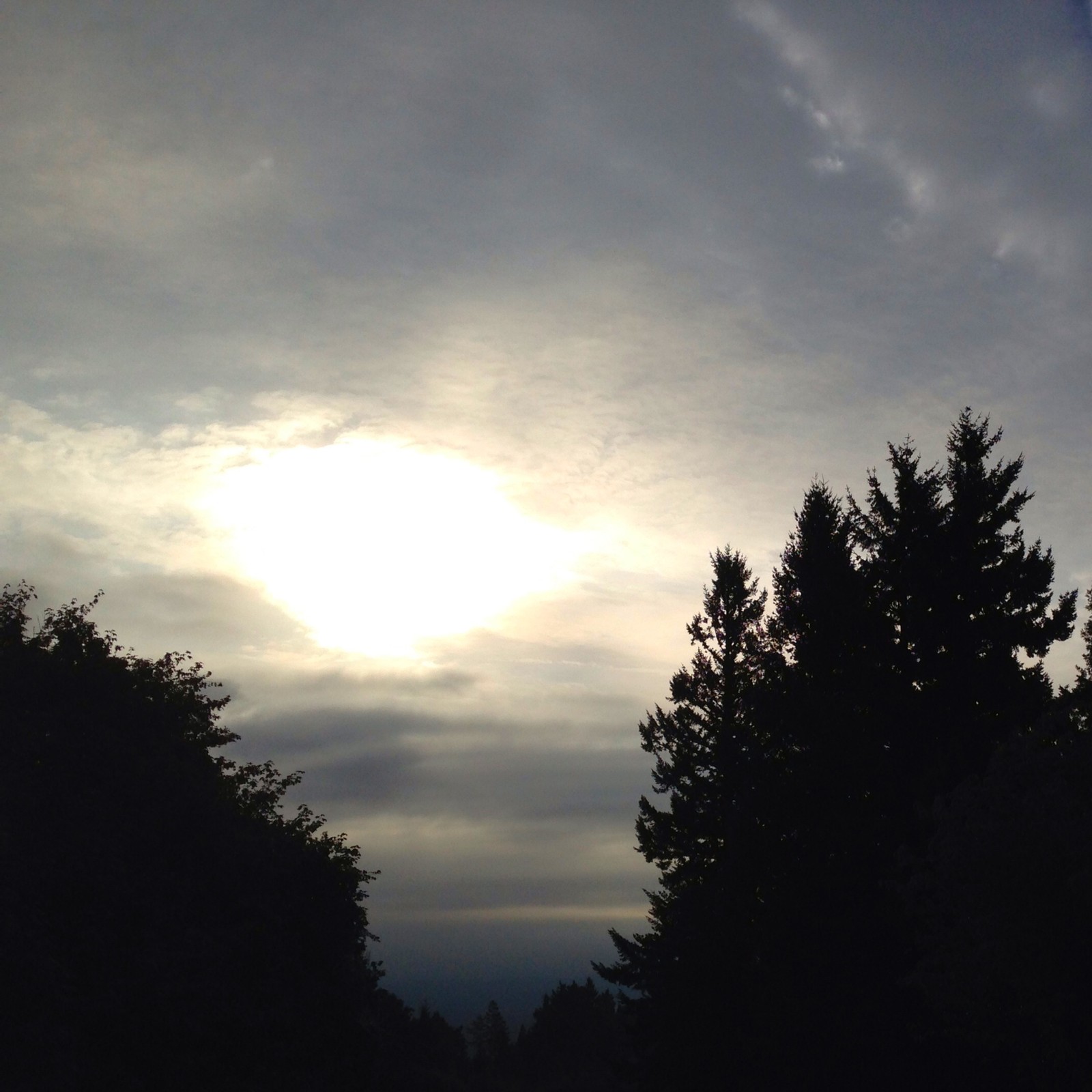 View from Council Crest toward Mt. Hood, which is NOT visible