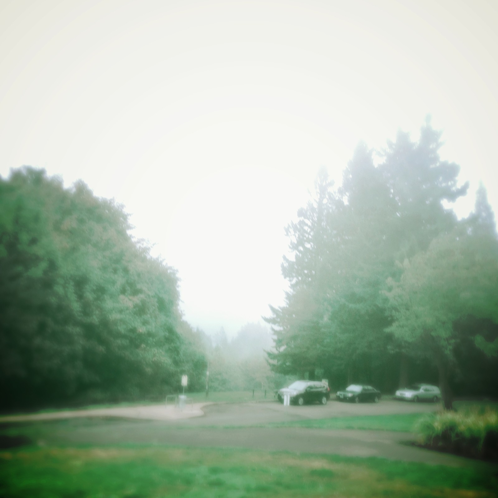 View from Council Crest toward Mt. Hood, which is NOT visible