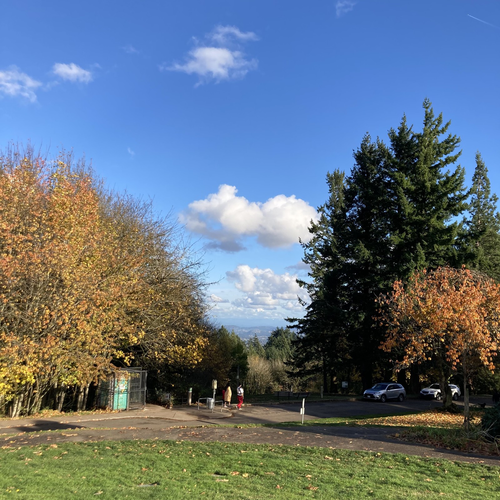 View from Council Crest toward Mt. Hood, which is visible