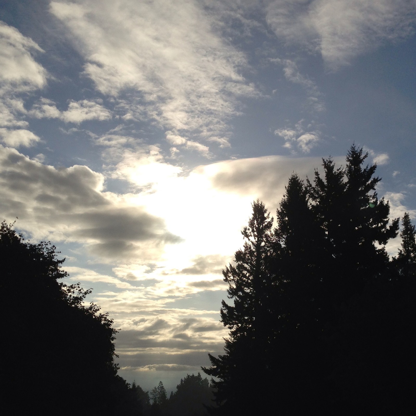 View from Council Crest toward Mt. Hood, which is NOT visible
