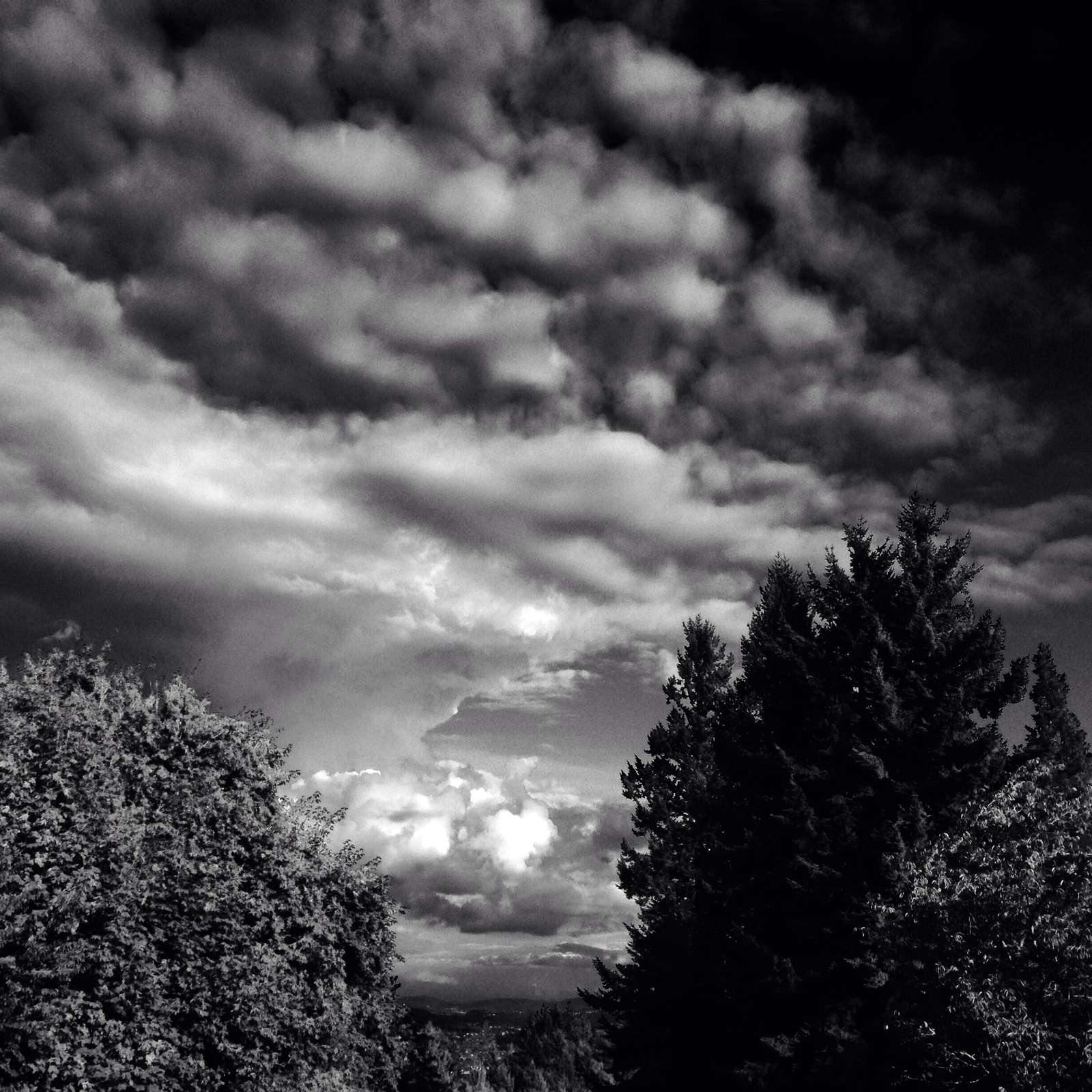 View from Council Crest toward Mt. Hood, which is NOT visible