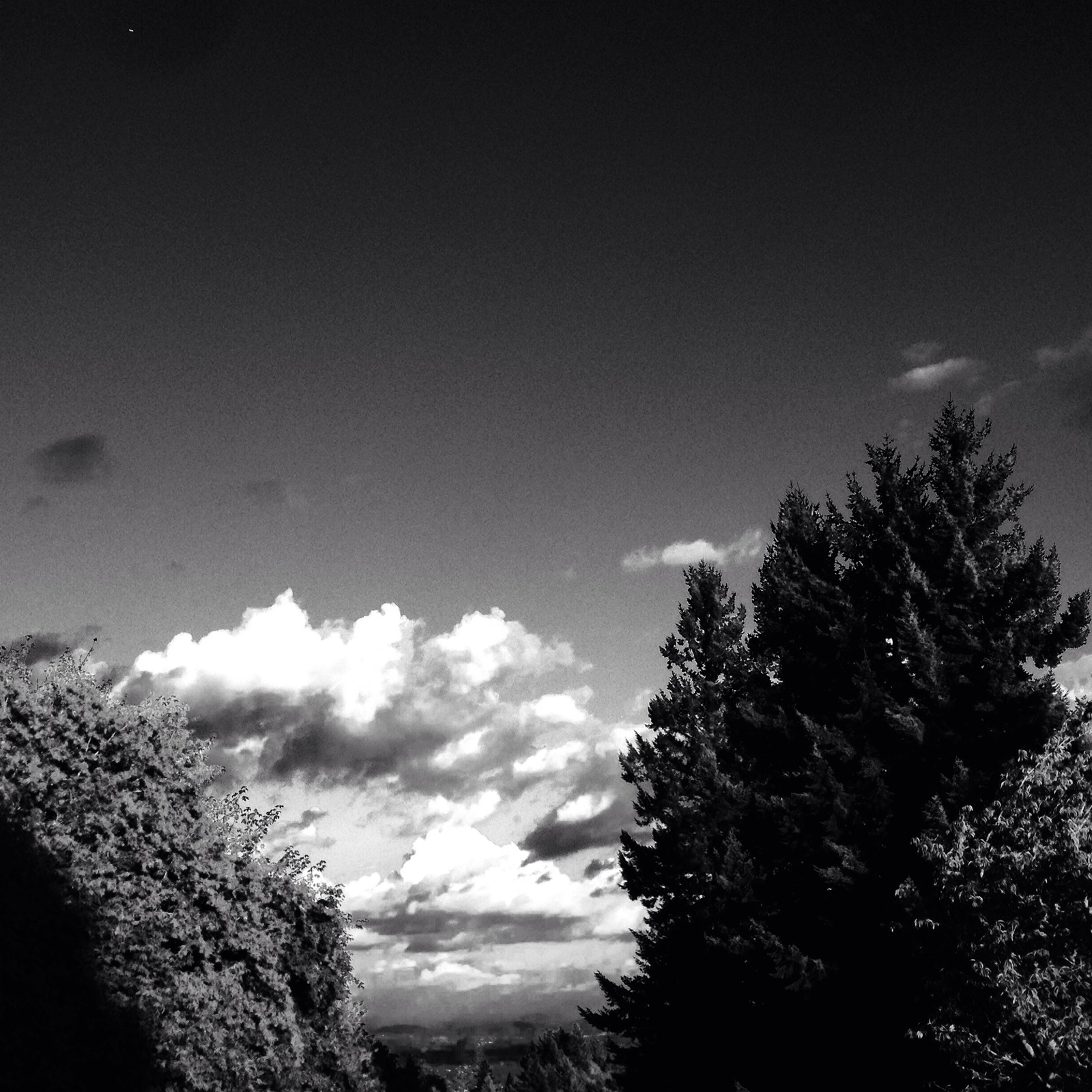 View from Council Crest toward Mt. Hood, which is NOT visible