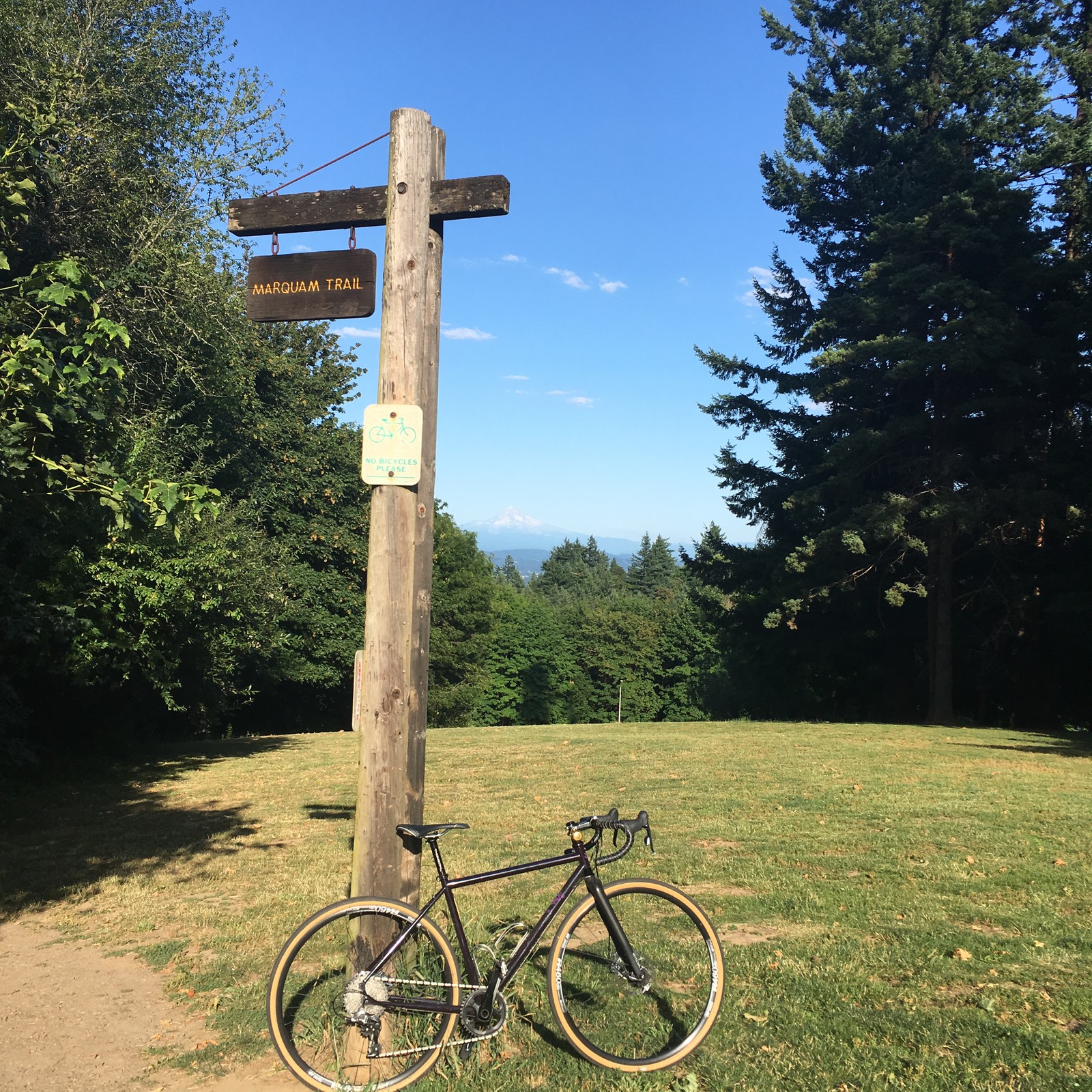 View from Council Crest toward Mt. Hood, which is visible
