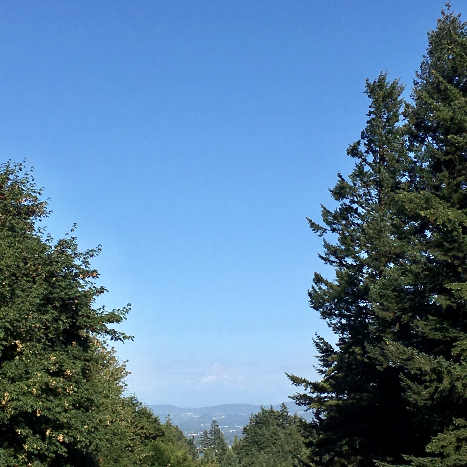 View from Council Crest toward Mt. Hood, which is visible