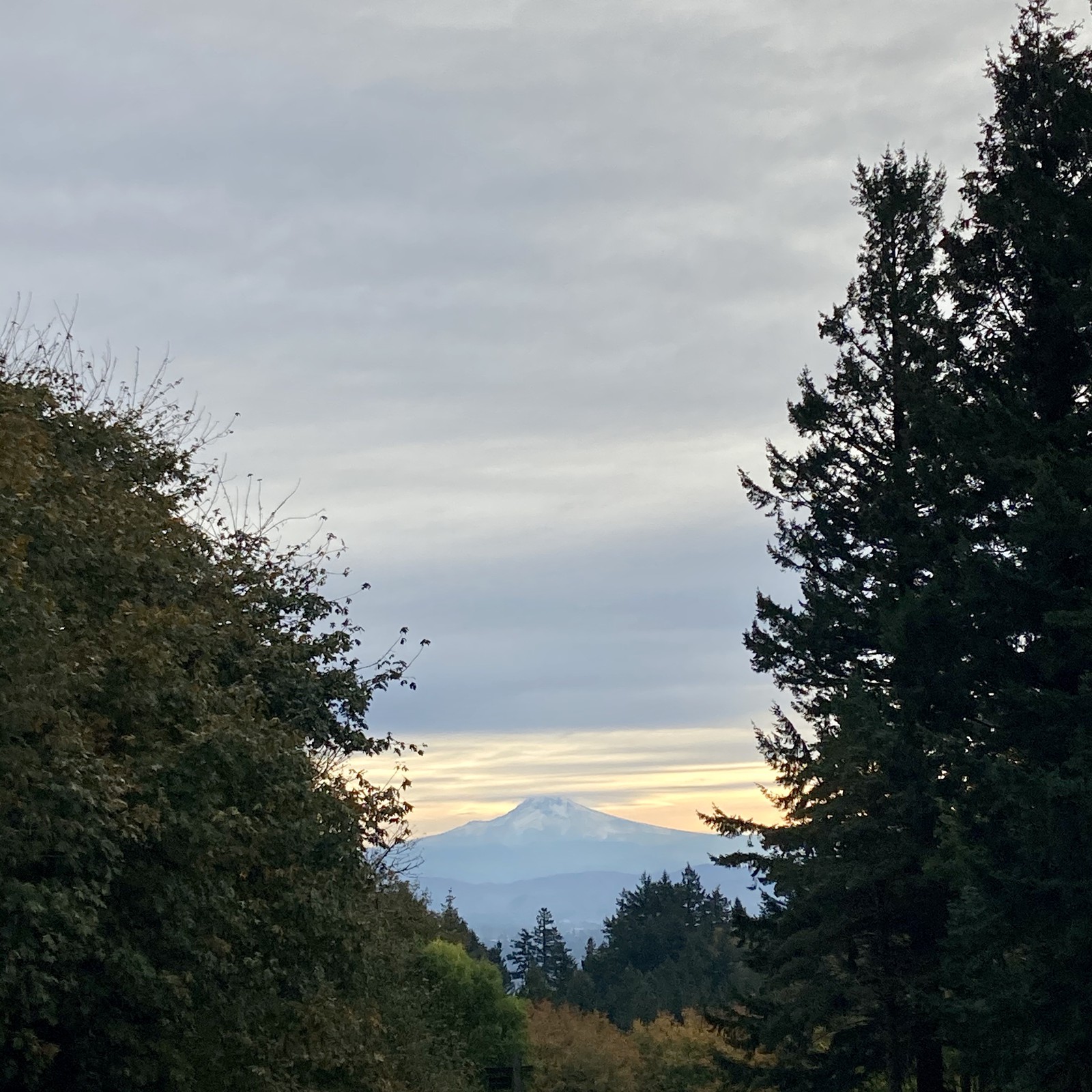 View from Council Crest toward Mt. Hood, which is visible