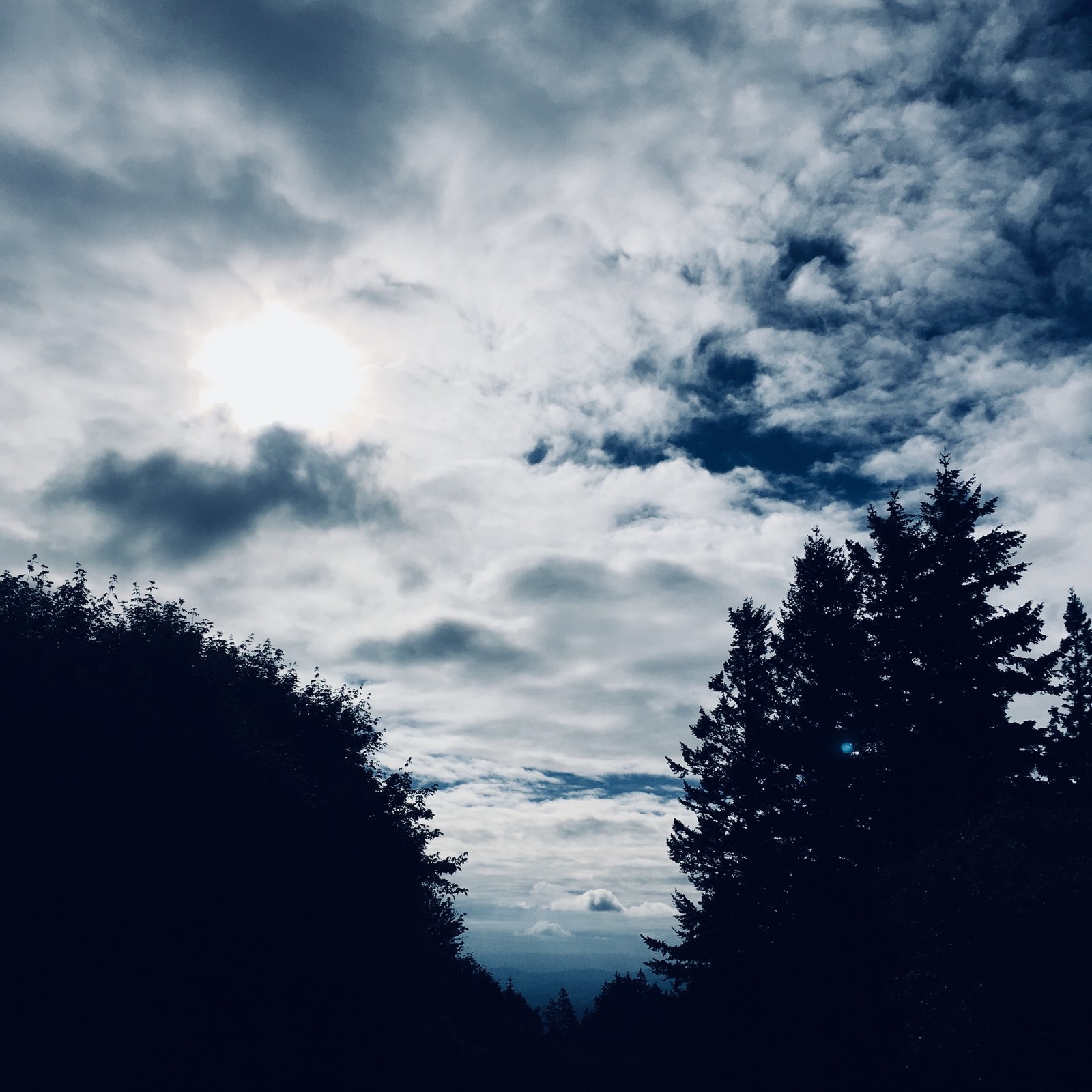 View from Council Crest toward Mt. Hood, which is NOT visible