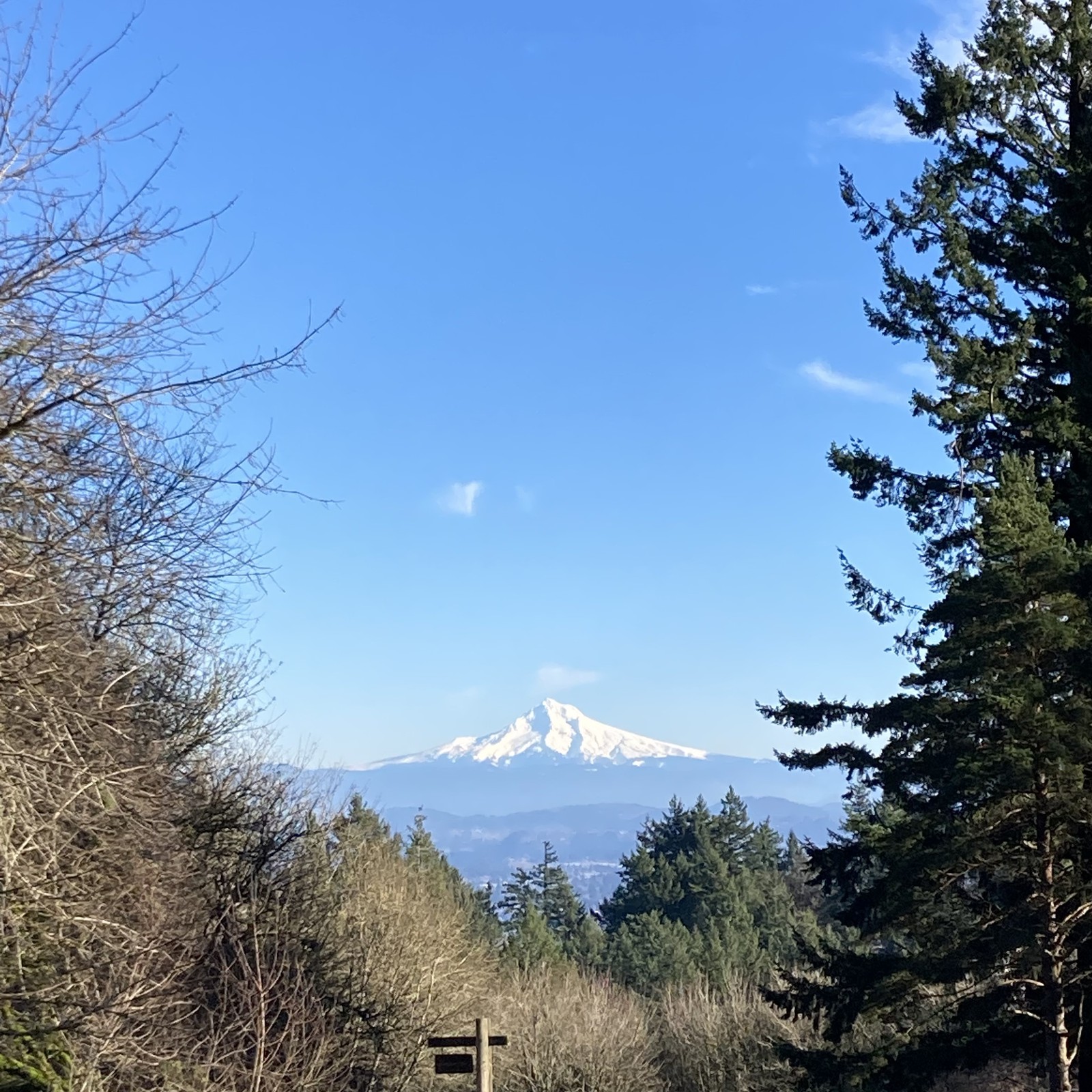 View from Council Crest toward Mt. Hood, which is visible