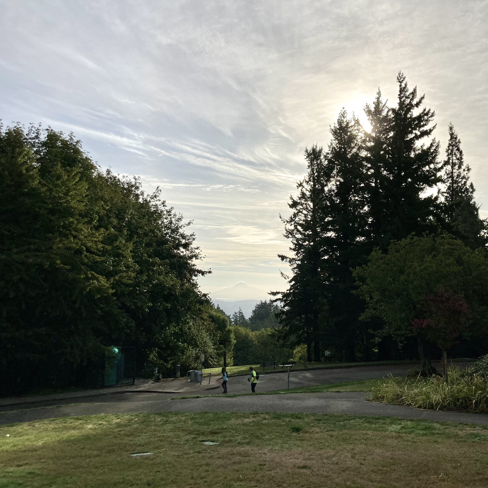 View from Council Crest toward Mt. Hood, which is visible