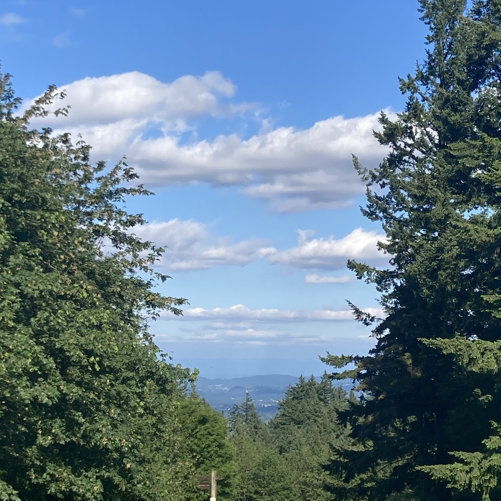 View from Council Crest toward Mt. Hood, which is visible