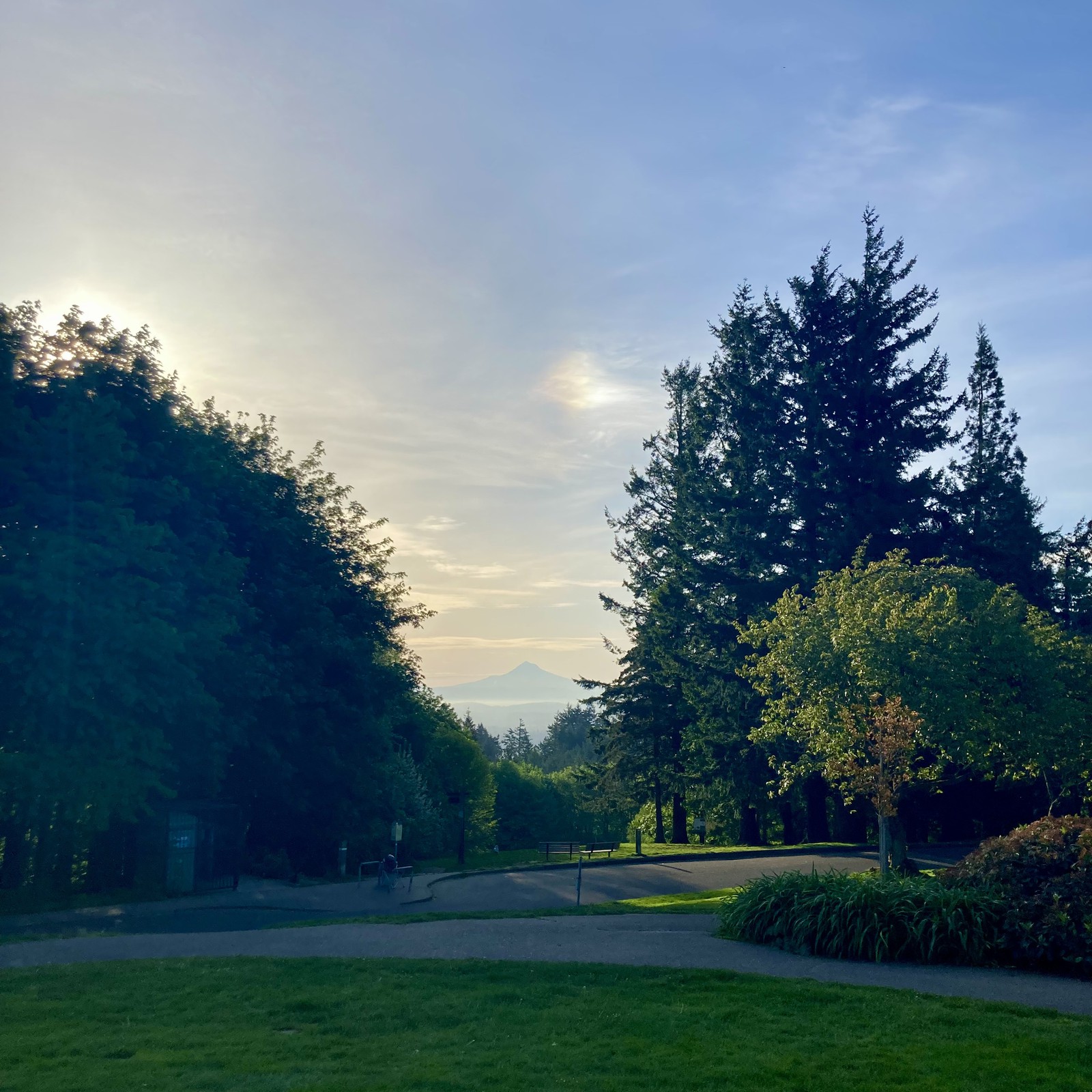 View from Council Crest toward Mt. Hood, which is visible