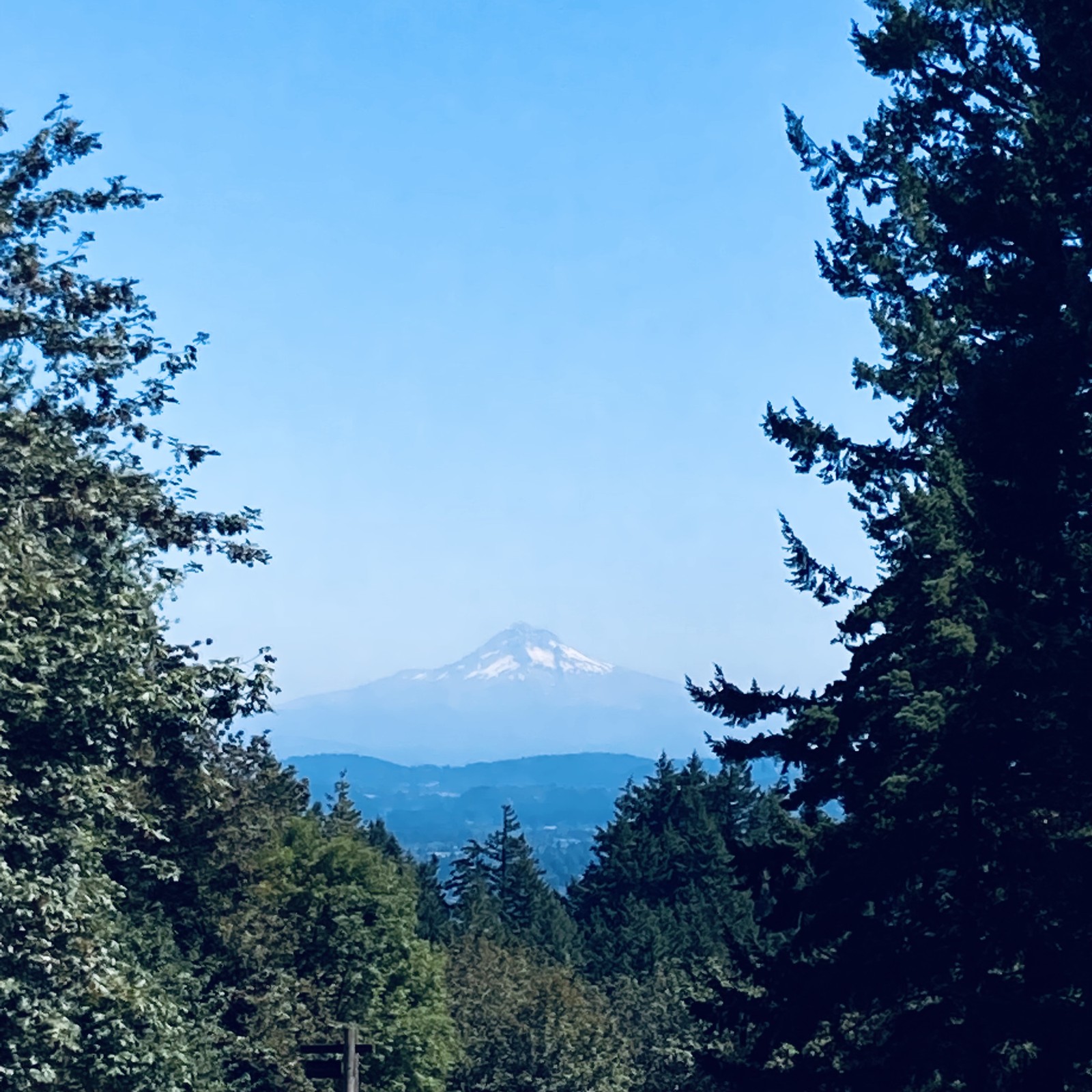 View from Council Crest toward Mt. Hood, which is visible