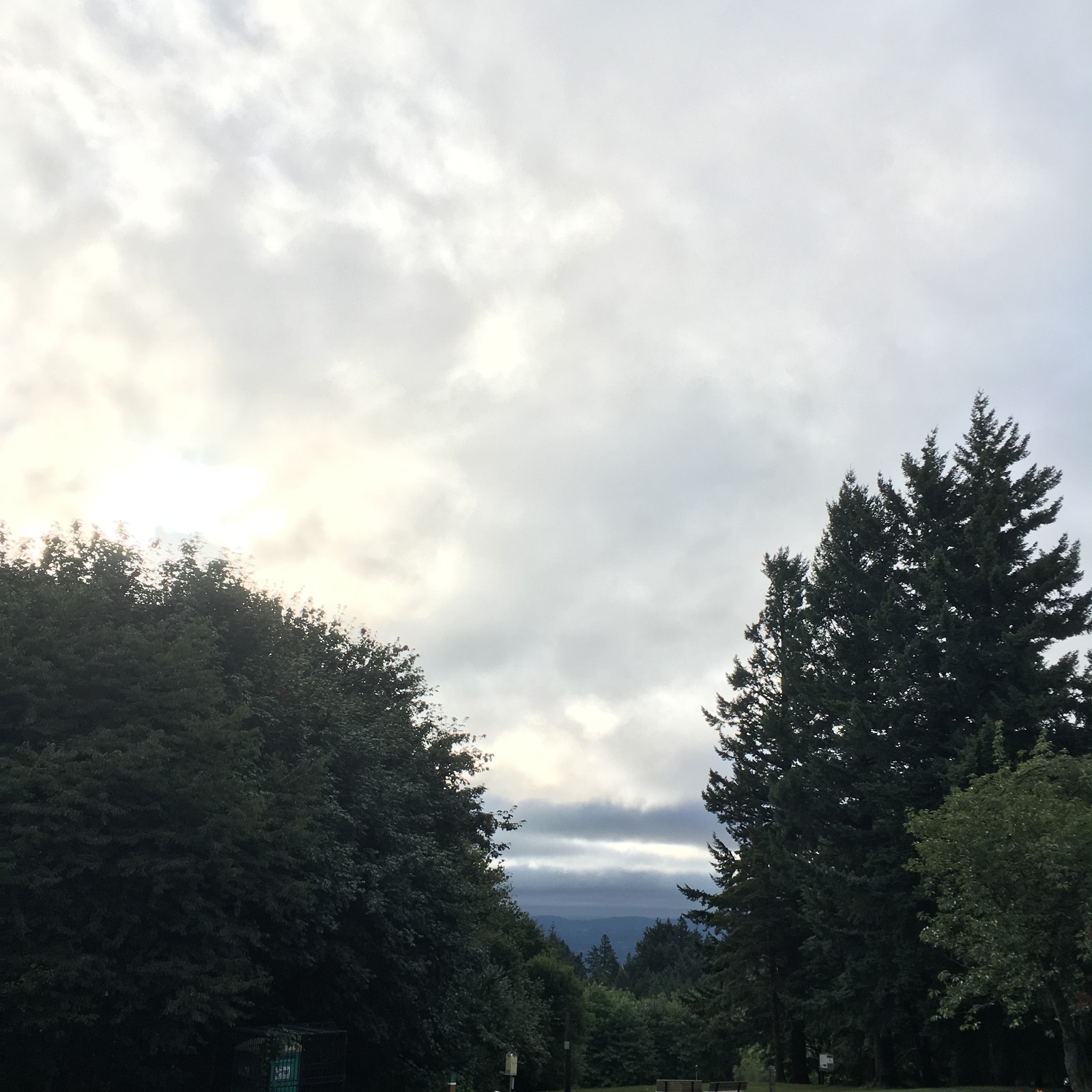 View from Council Crest toward Mt. Hood, which is NOT visible
