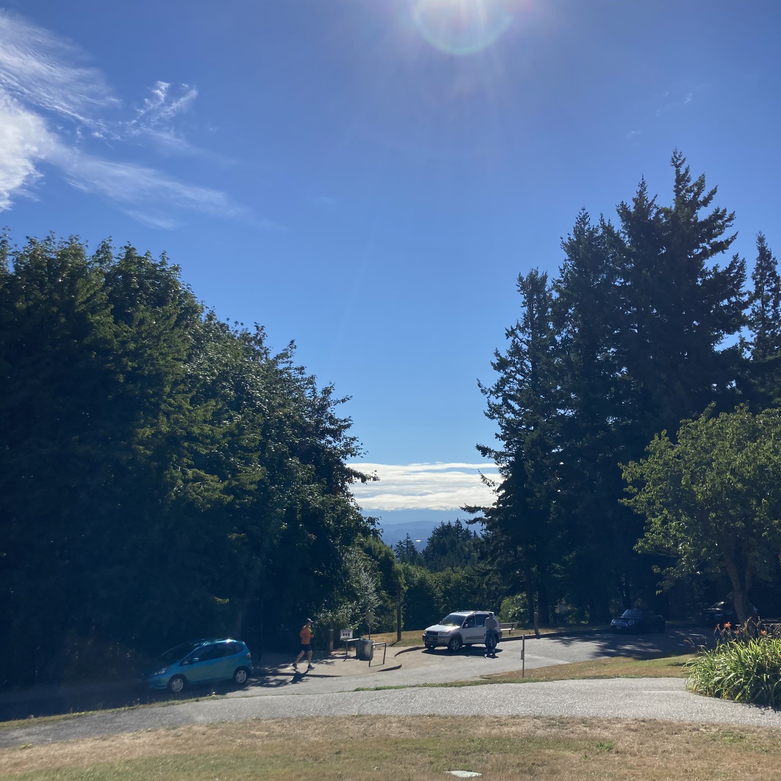 View from Council Crest toward Mt. Hood, which is visible