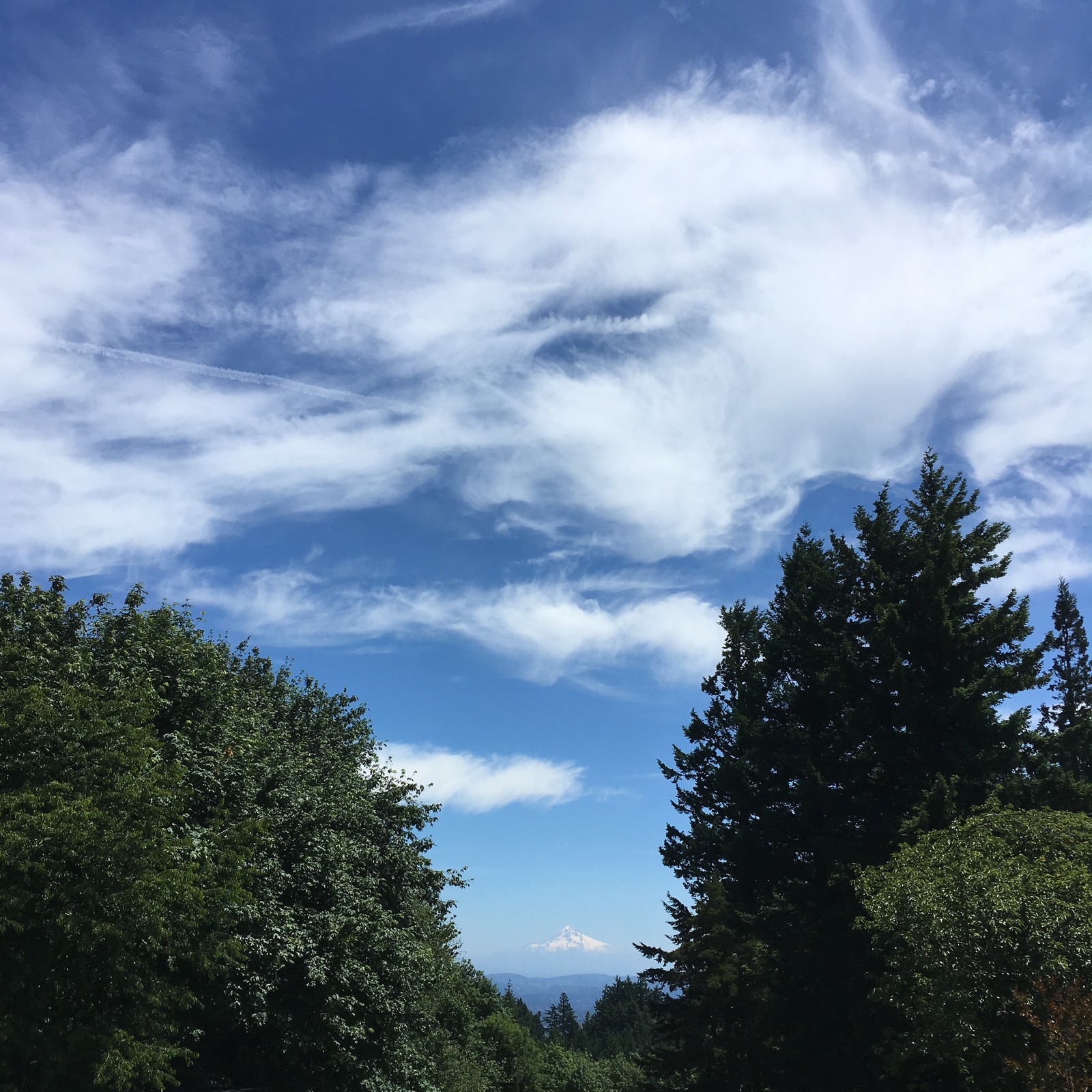View from Council Crest toward Mt. Hood, which is visible