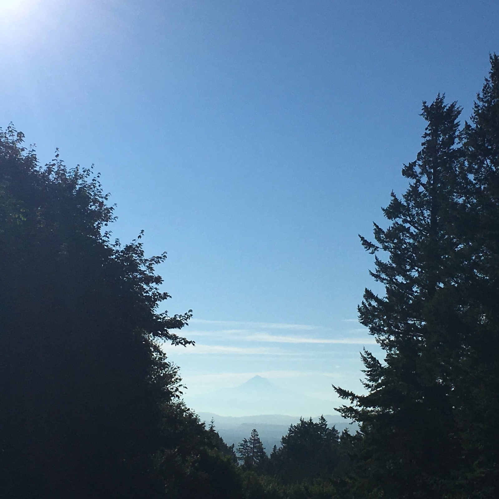 View from Council Crest toward Mt. Hood, which is visible